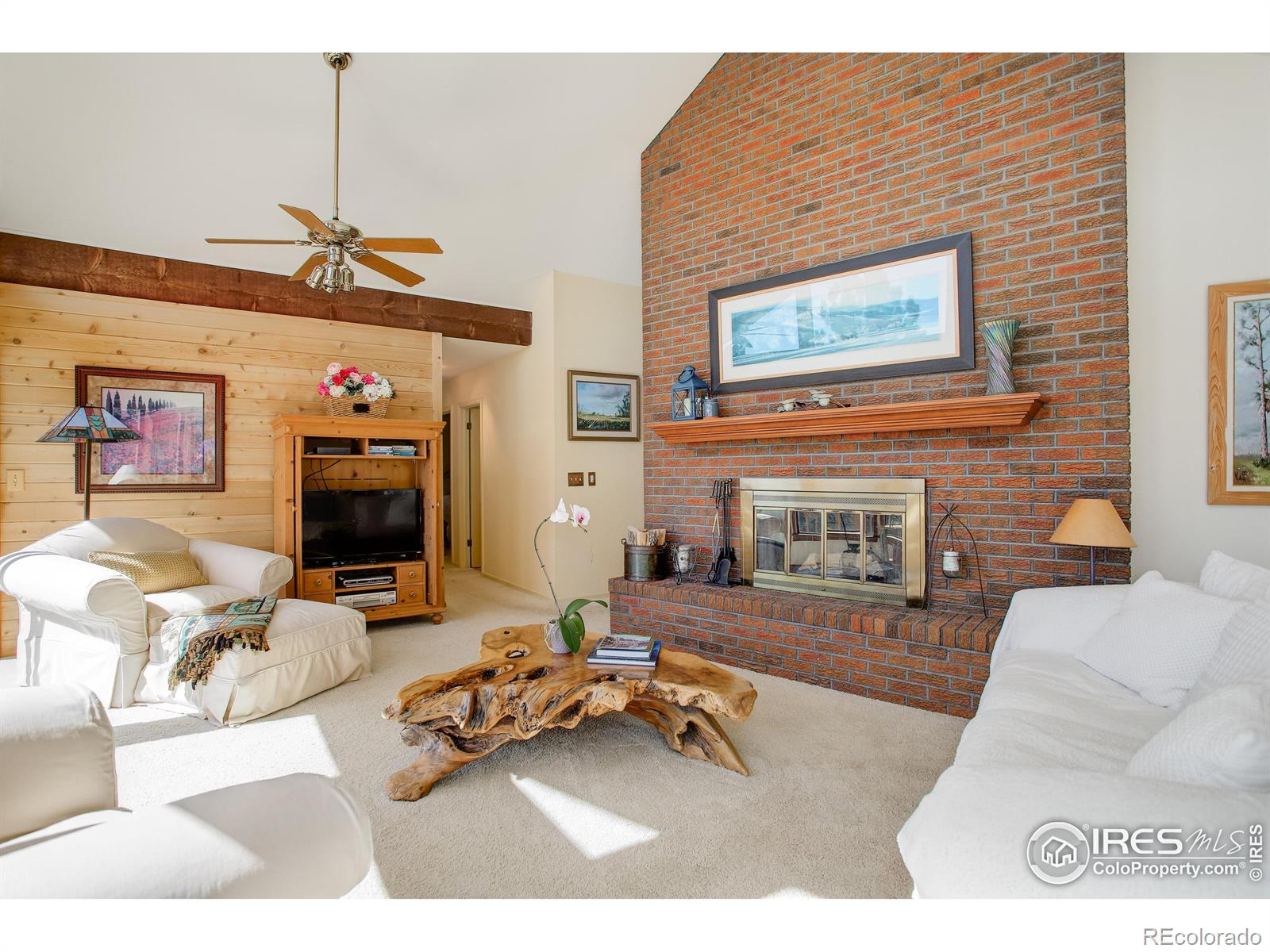 MLS Image #6 for 8563  middle fork road,boulder, Colorado