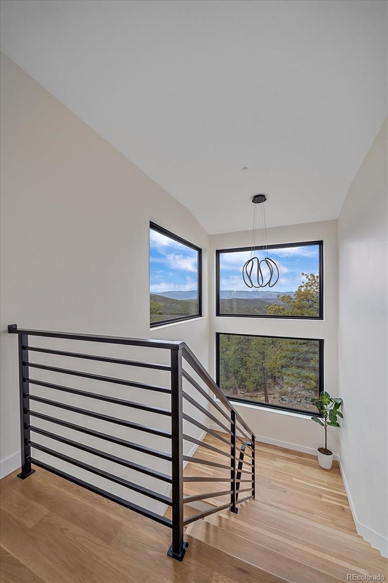 MLS Image #21 for 26656  gray buck trail,conifer, Colorado