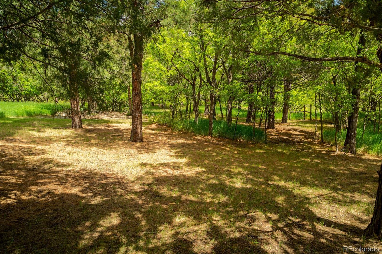 MLS Image #28 for 251  county road 46 ,howard, Colorado