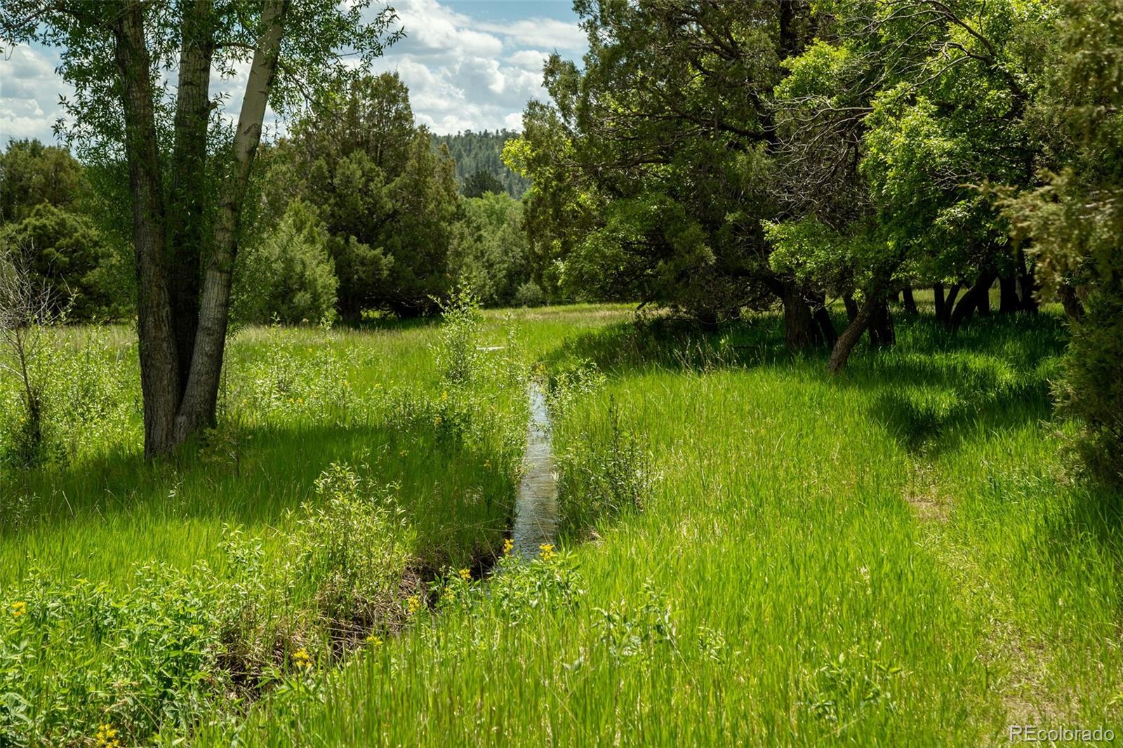 MLS Image #29 for 251  county road 46 ,howard, Colorado