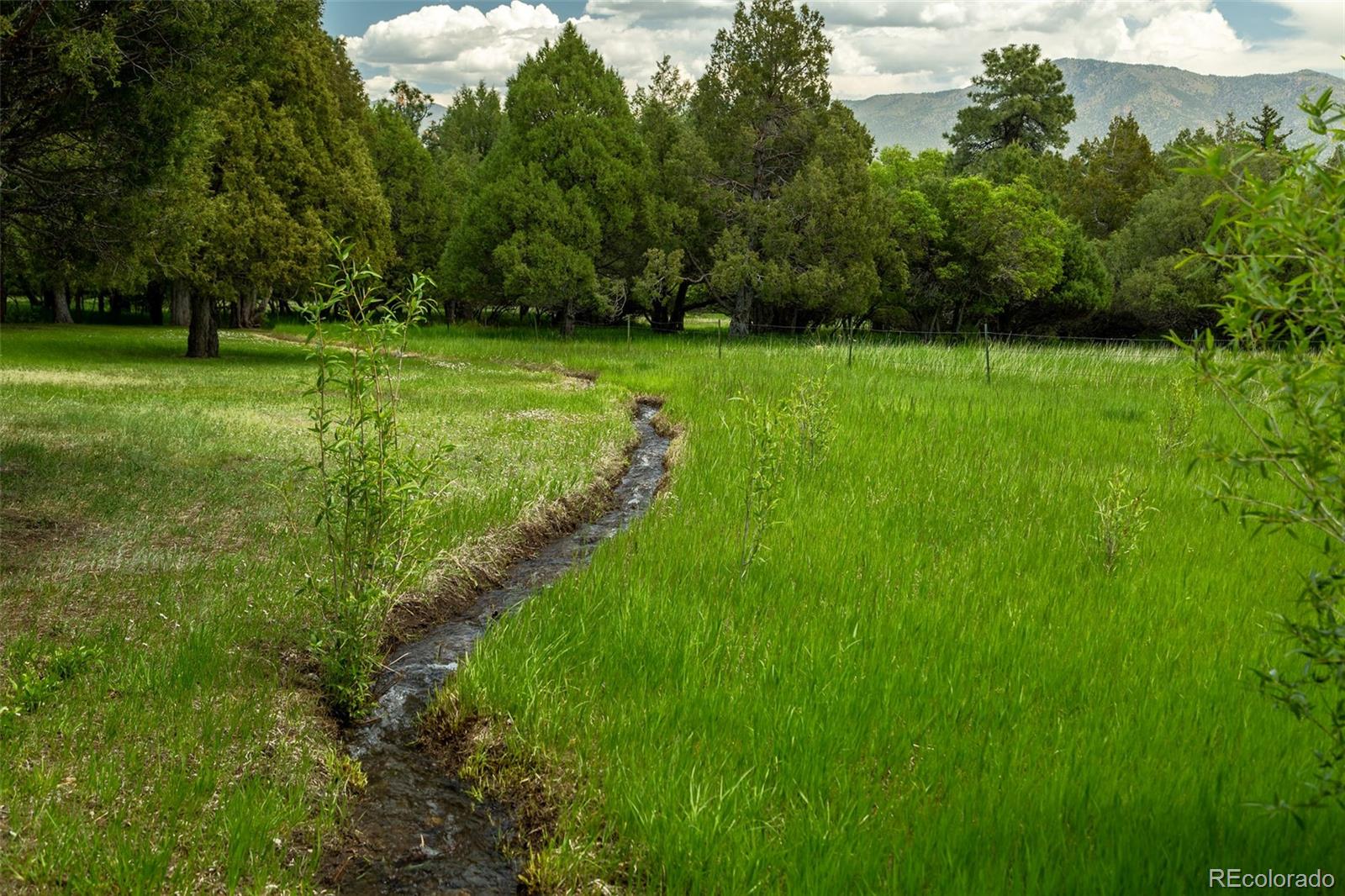 MLS Image #33 for 251  county road 46 ,howard, Colorado