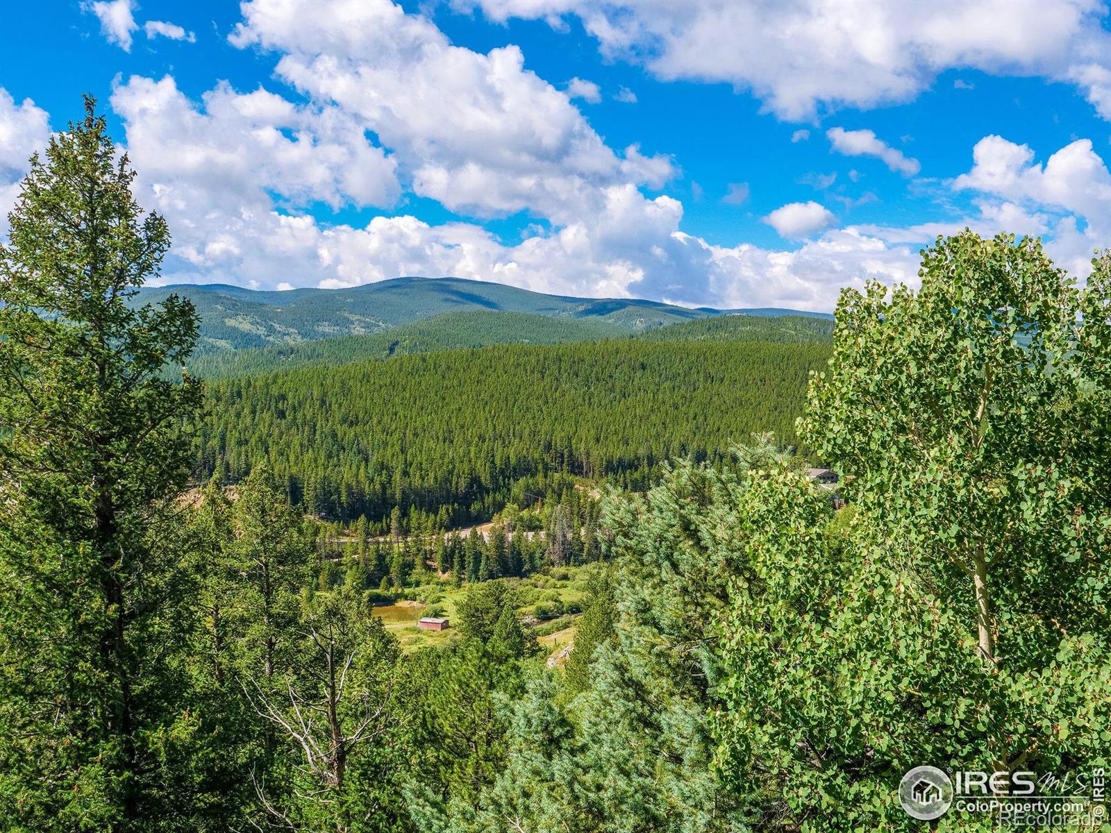 MLS Image #32 for 140  arts lane,rollinsville, Colorado