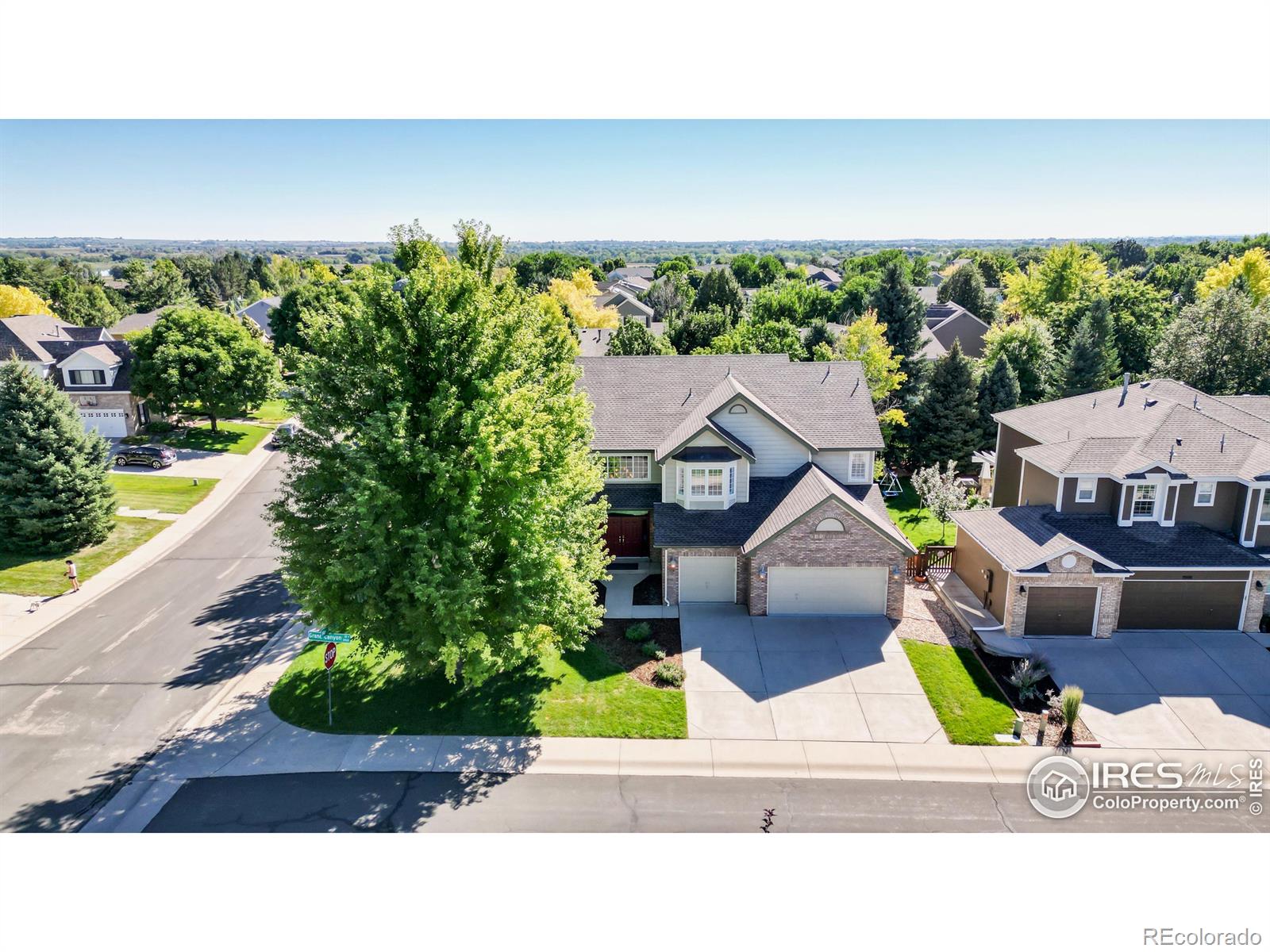 MLS Image #1 for 3902  grand canyon street,fort collins, Colorado