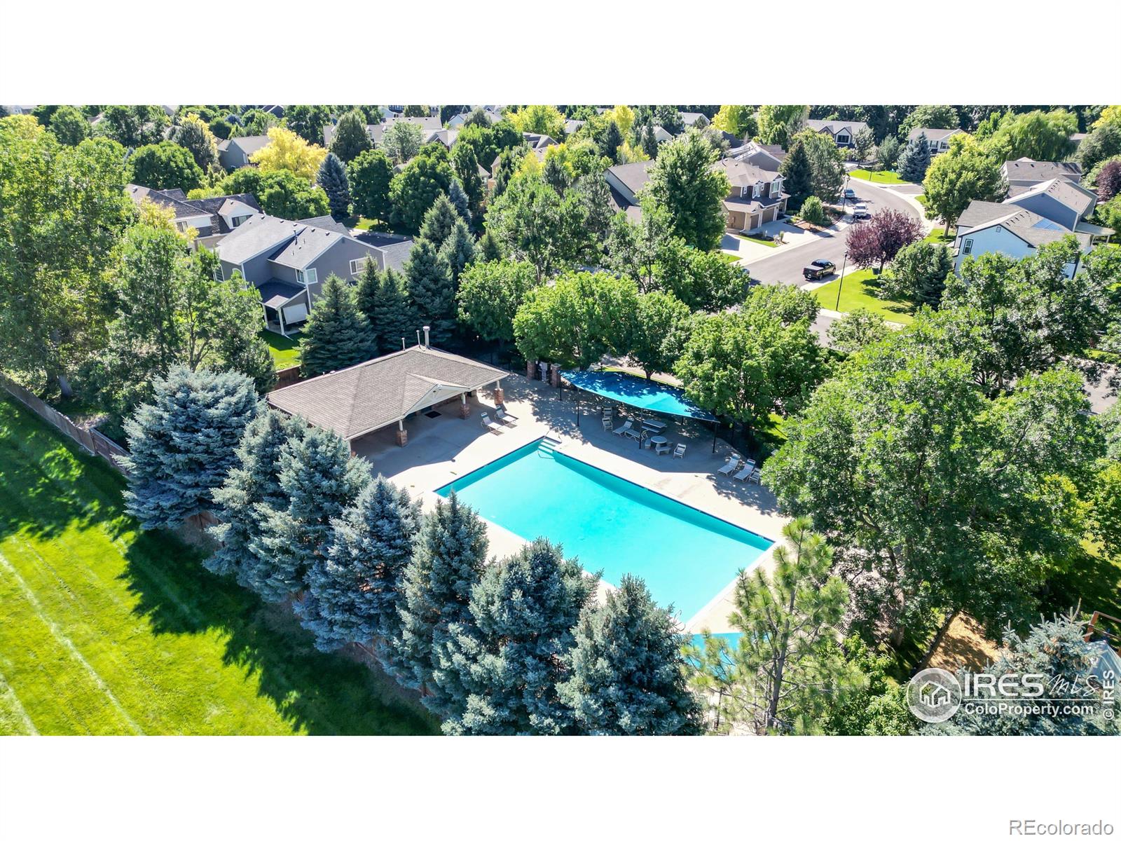 MLS Image #36 for 3902  grand canyon street,fort collins, Colorado