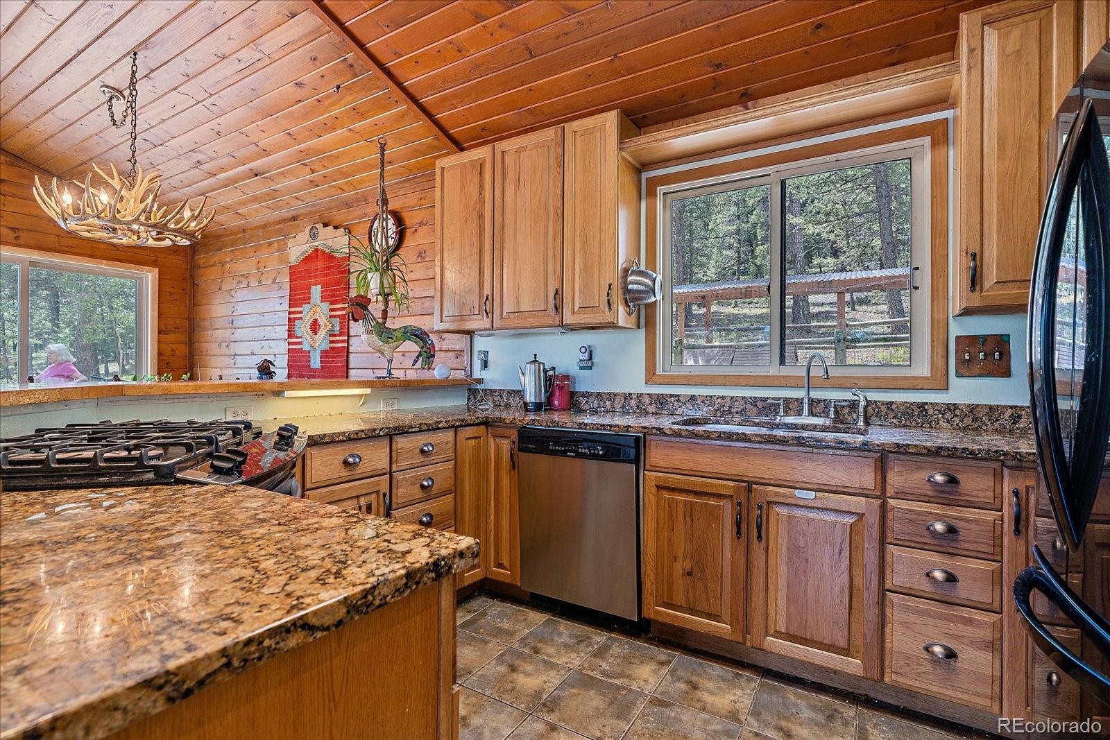 MLS Image #16 for 321  tapadero road,bailey, Colorado