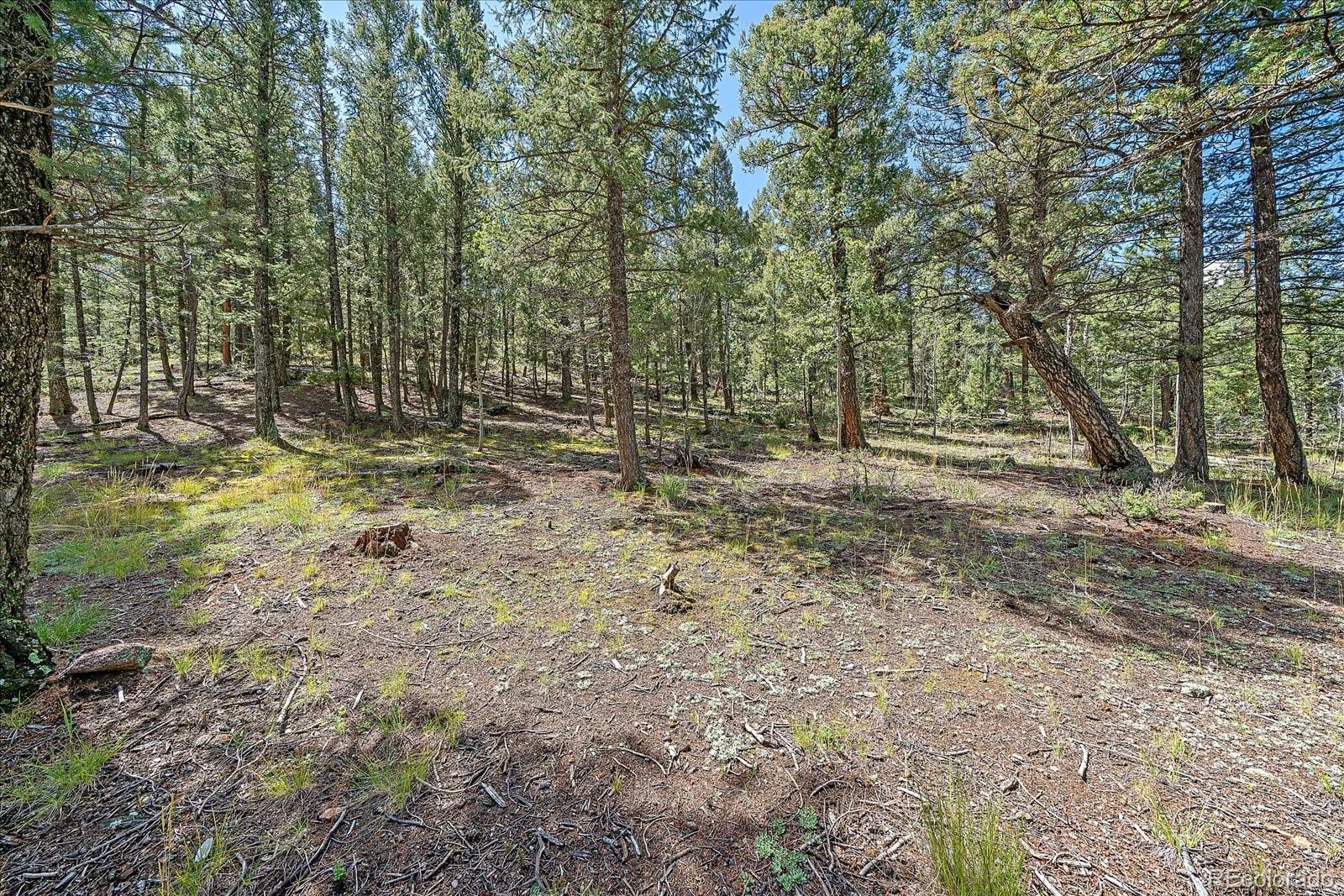 MLS Image #23 for 321  tapadero road,bailey, Colorado