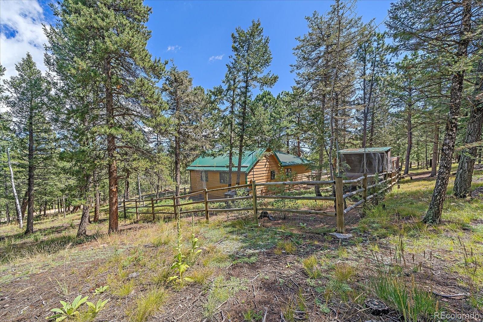 MLS Image #5 for 321  tapadero road,bailey, Colorado