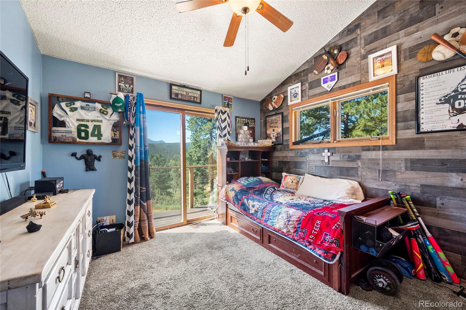 MLS Image #17 for 135  sunrise court,woodland park, Colorado