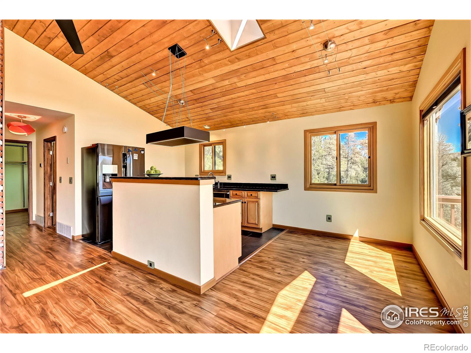 MLS Image #18 for 10200  blue sky trail,conifer, Colorado