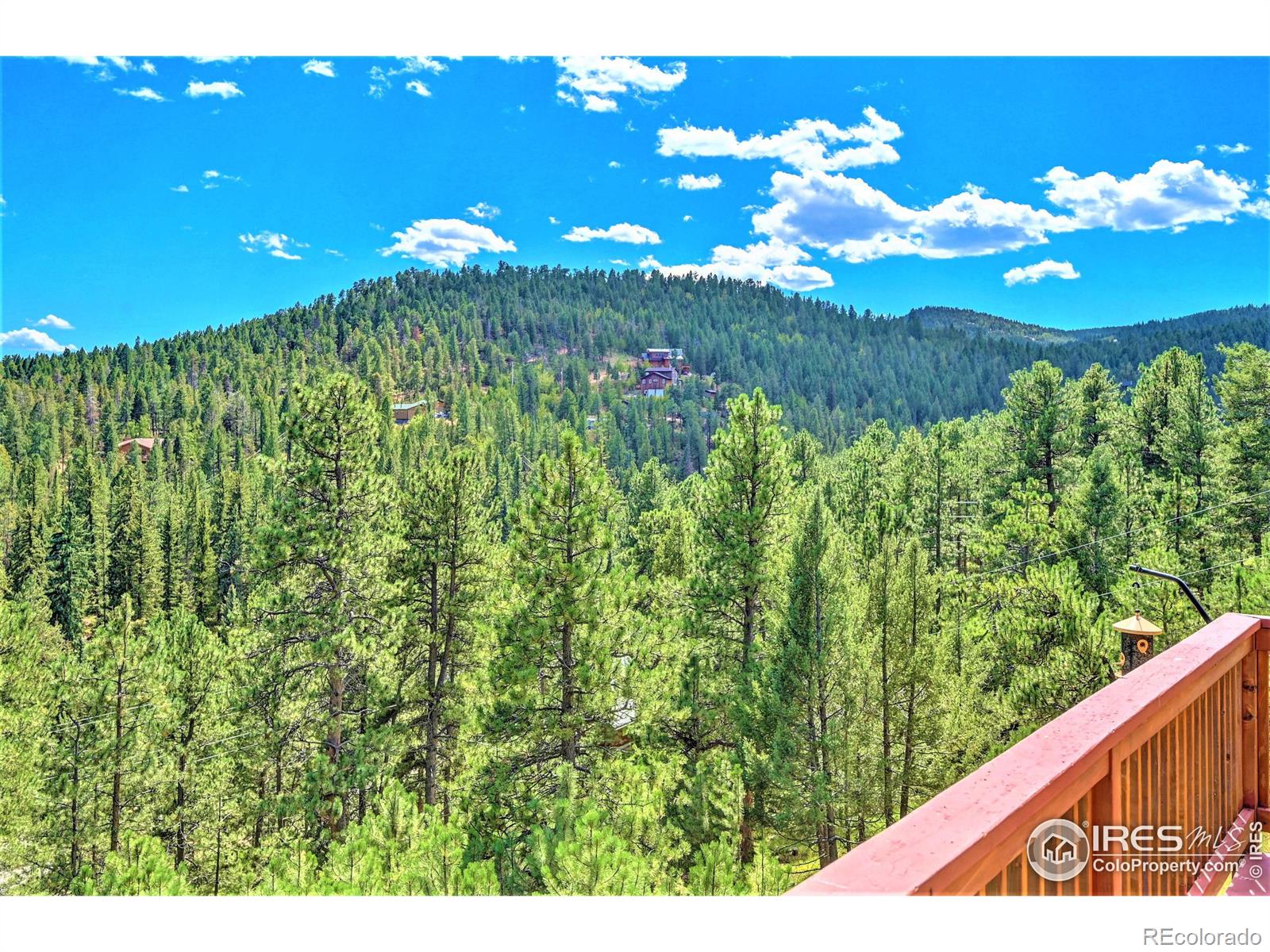 MLS Image #31 for 10200  blue sky trail,conifer, Colorado