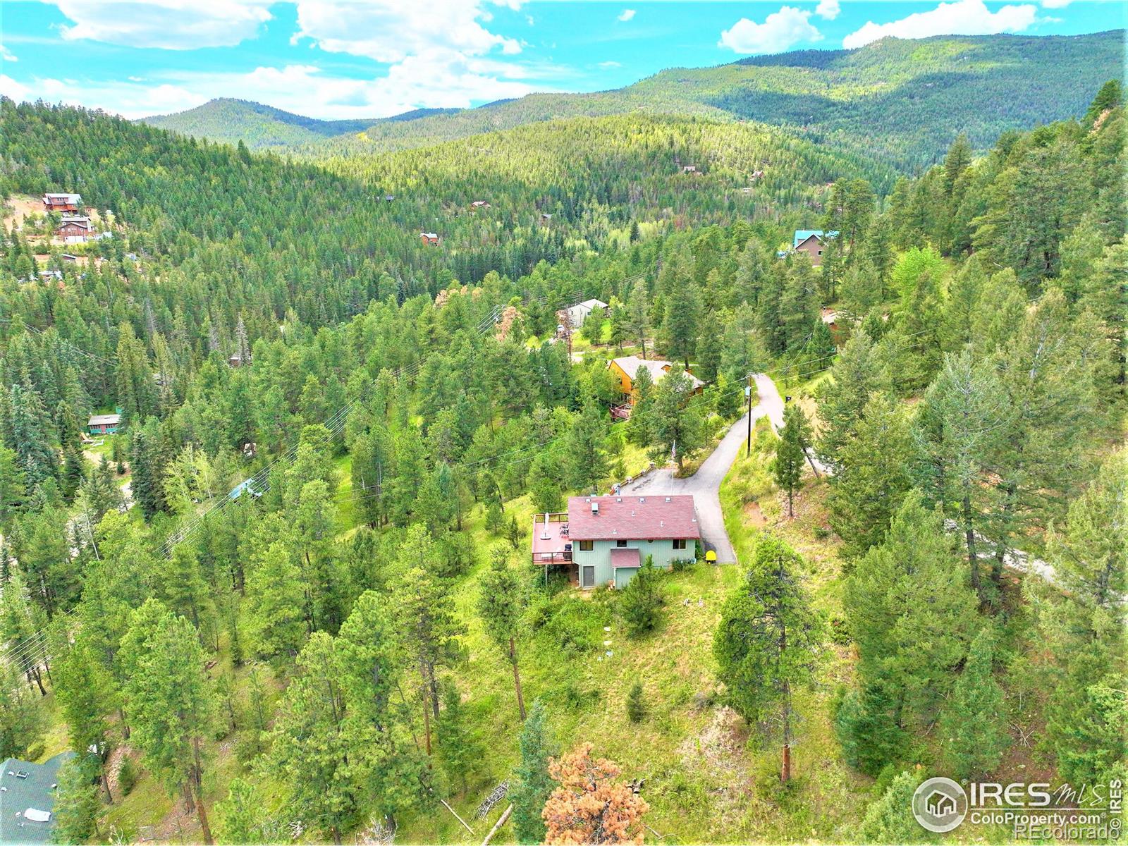 MLS Image #8 for 10200  blue sky trail,conifer, Colorado