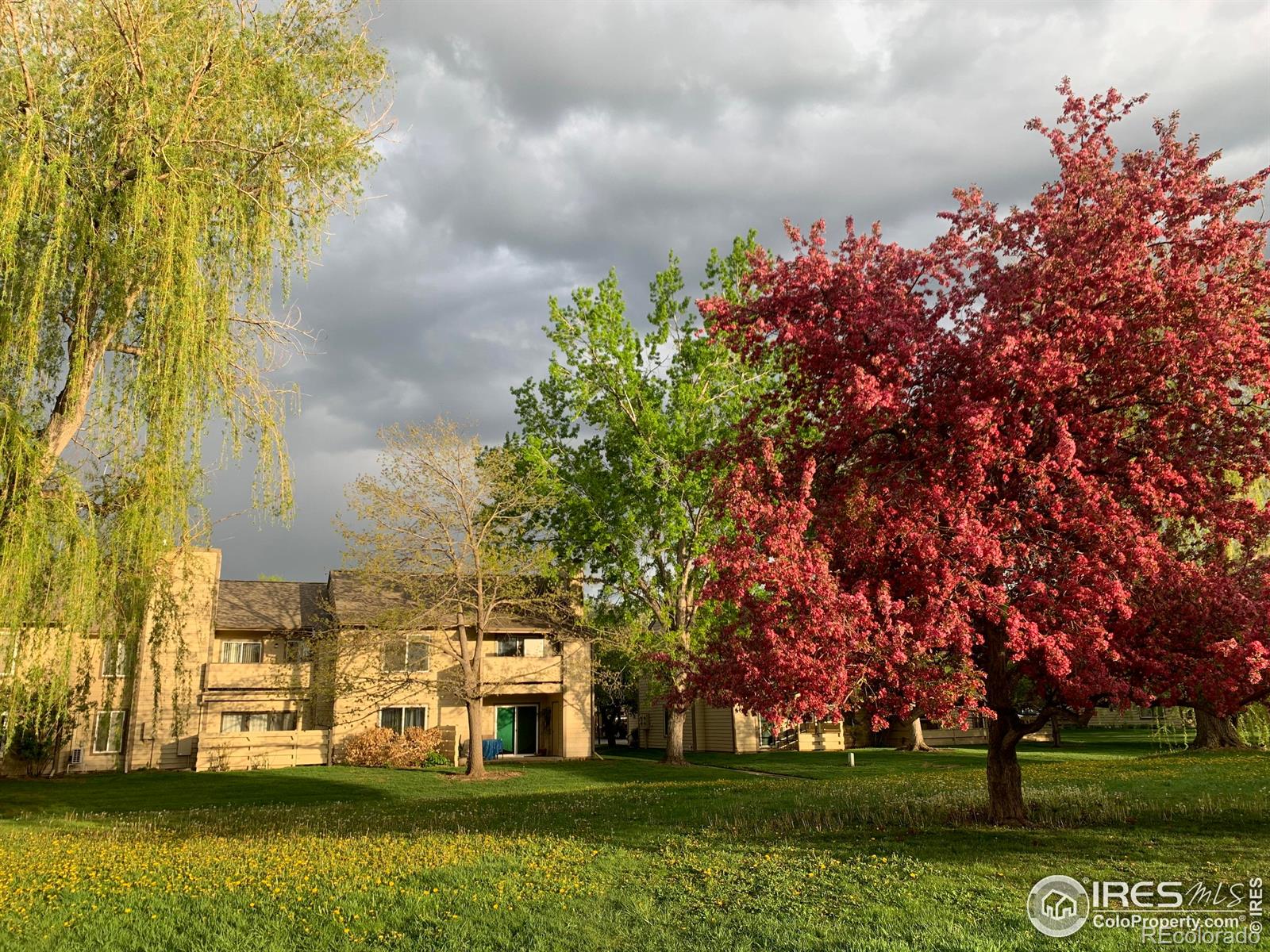 MLS Image #0 for 3465  lochwood drive,fort collins, Colorado