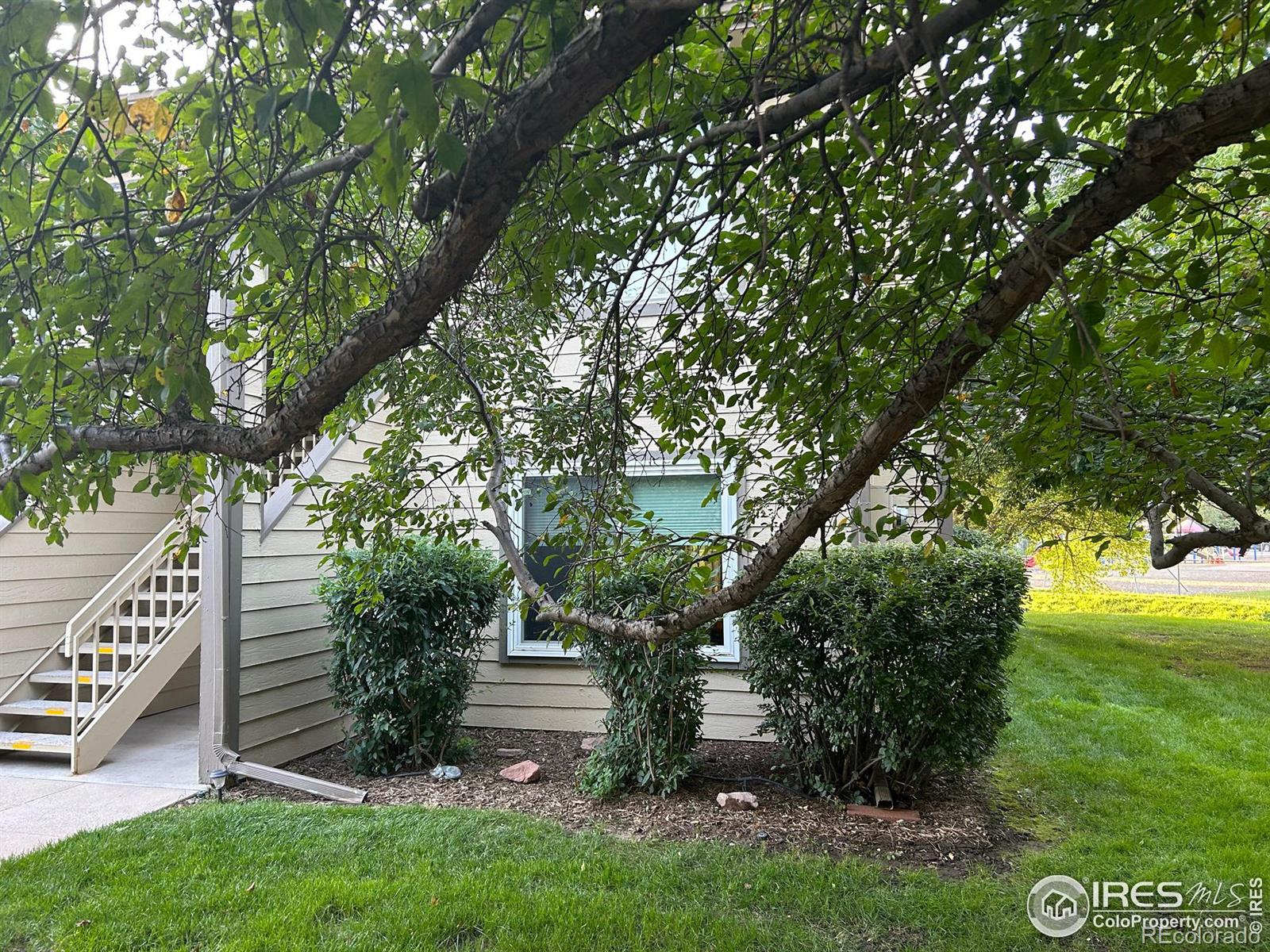 MLS Image #3 for 3465  lochwood drive,fort collins, Colorado