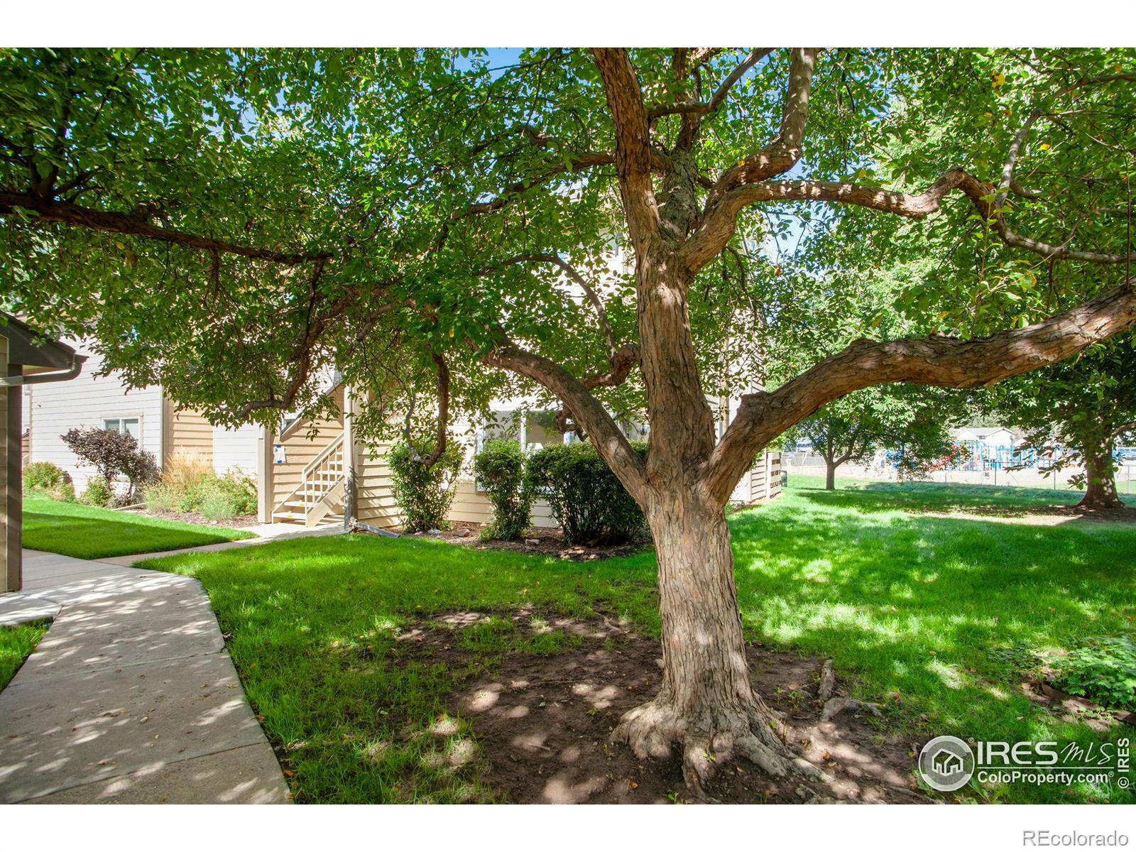 MLS Image #34 for 3465  lochwood drive,fort collins, Colorado