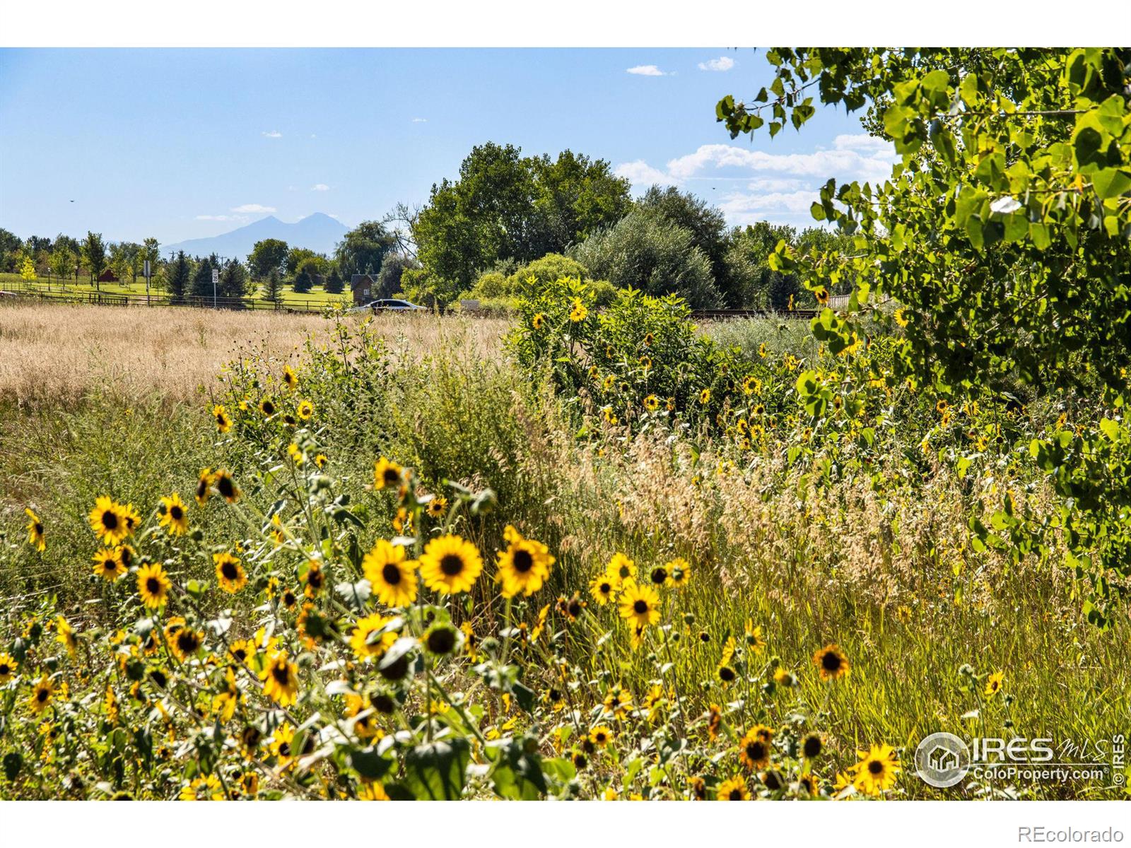 MLS Image #30 for 3331  apple blossom lane,evans, Colorado