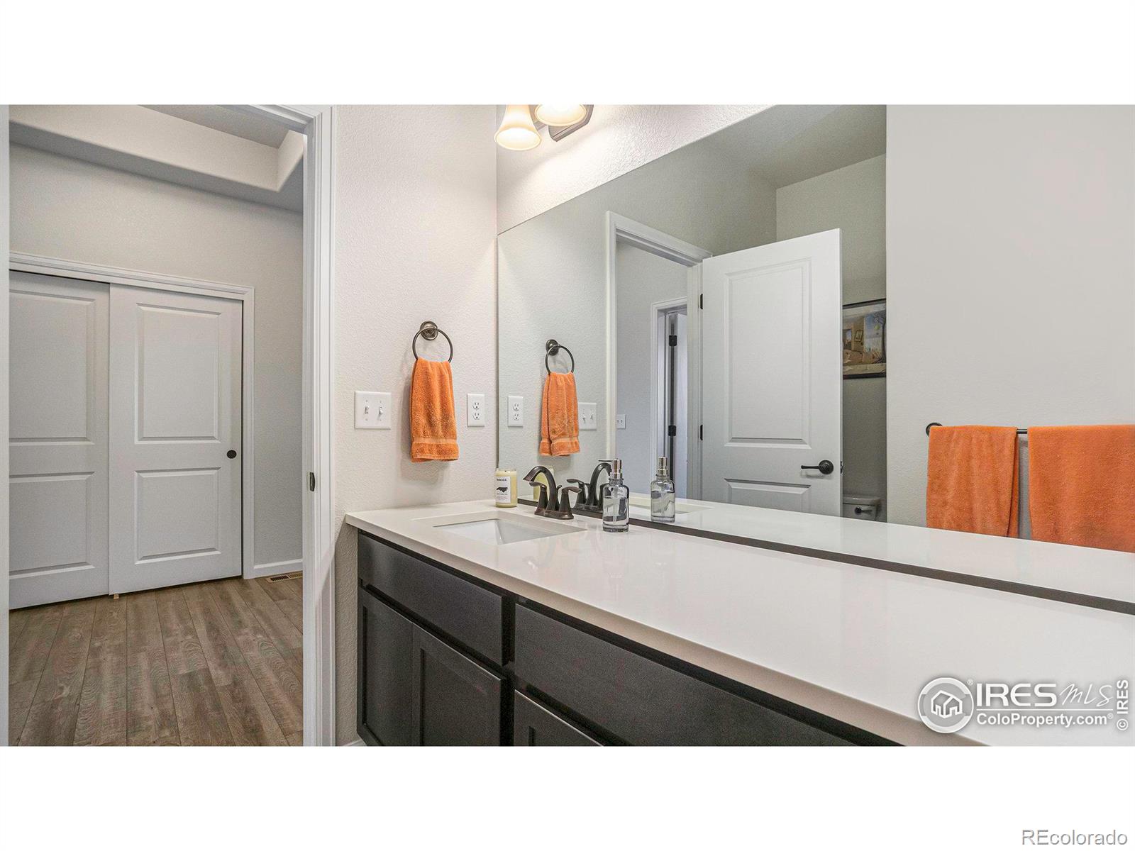 MLS Image #19 for 218  saskatoon drive,windsor, Colorado