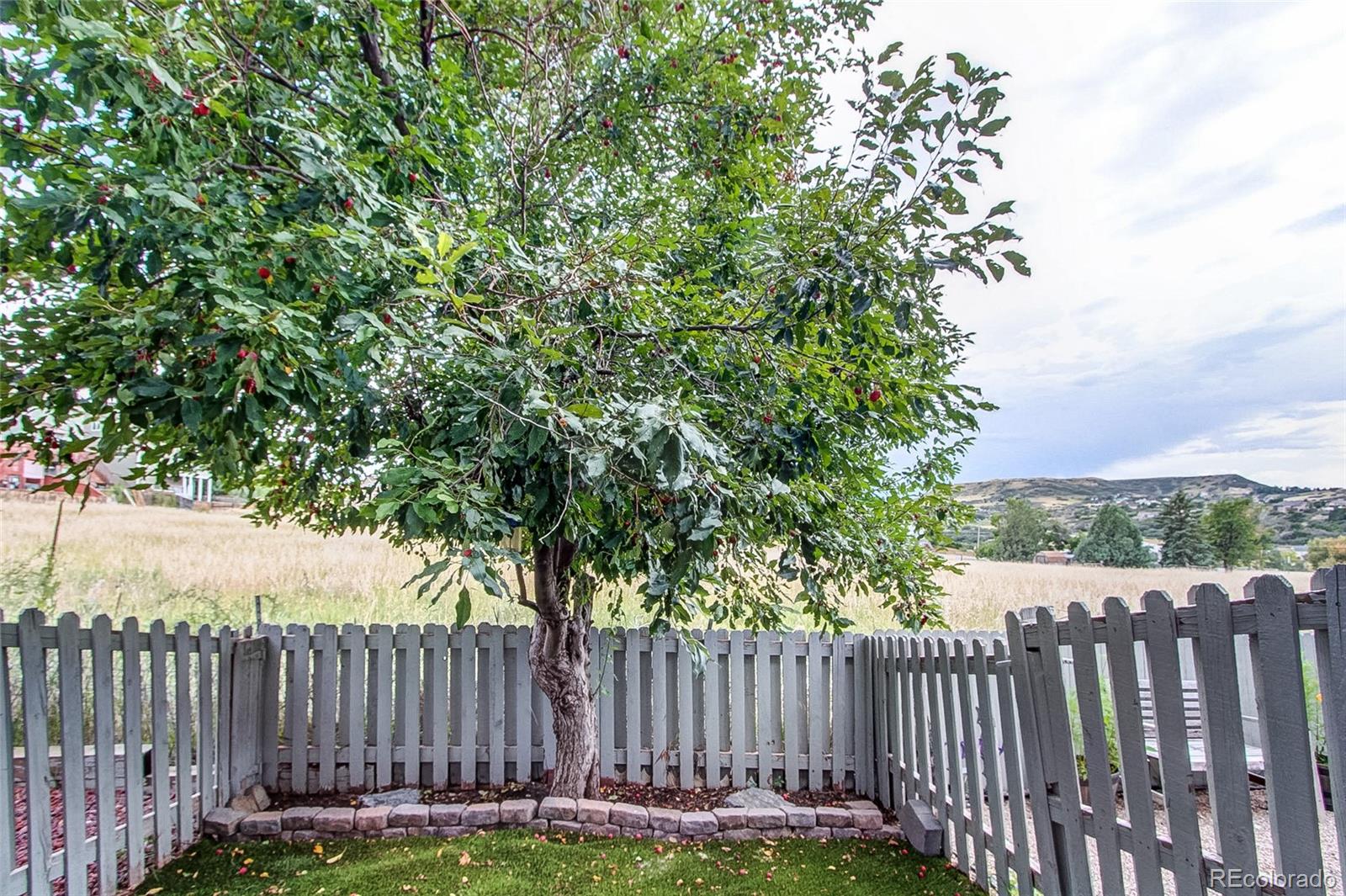 MLS Image #25 for 2094  oakcrest circle,castle rock, Colorado