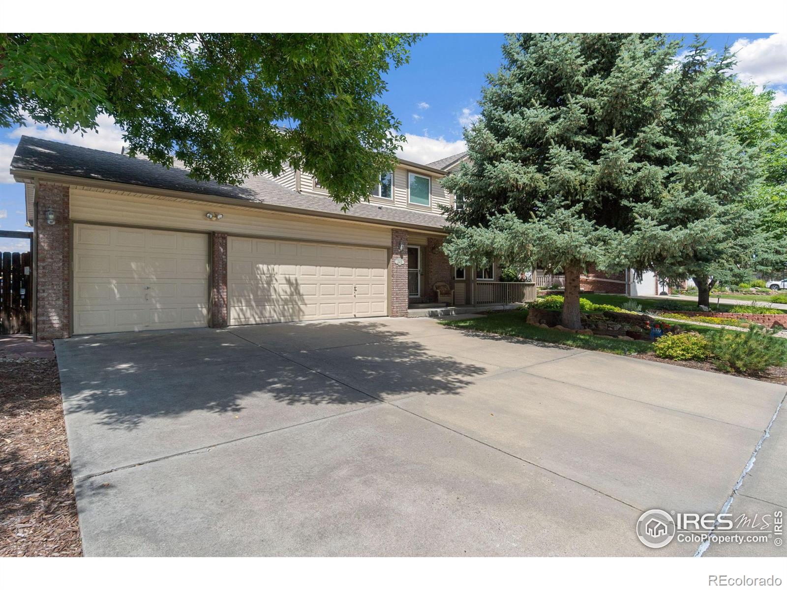 MLS Image #3 for 2415  maplewood circle,longmont, Colorado