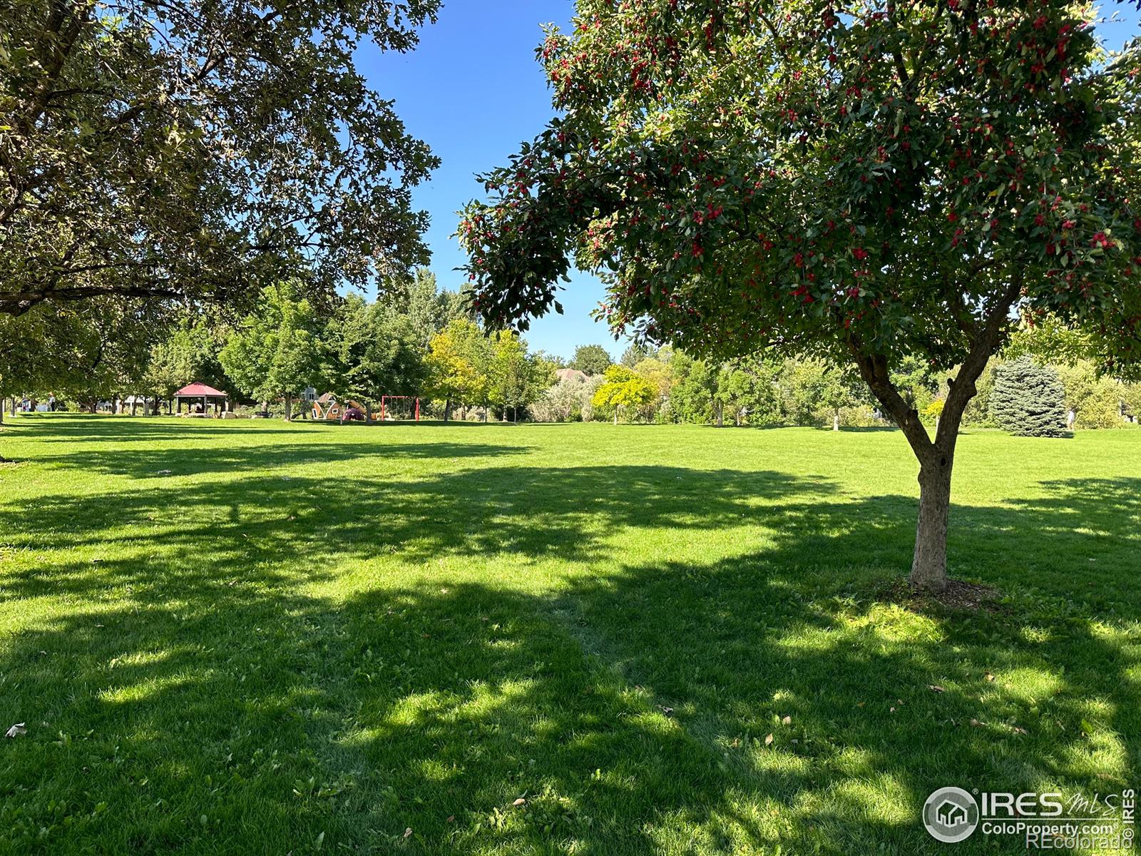 MLS Image #28 for 4872  curie court,boulder, Colorado