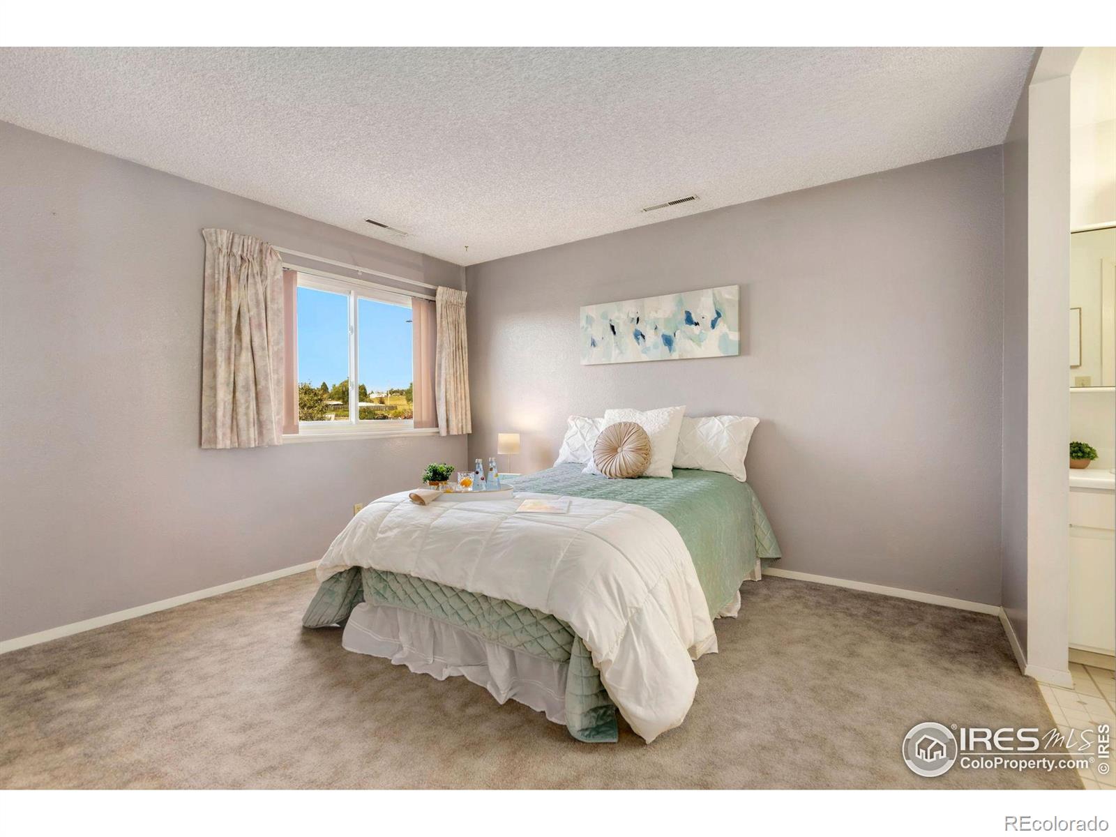 MLS Image #13 for 306  sundance circle,fort collins, Colorado