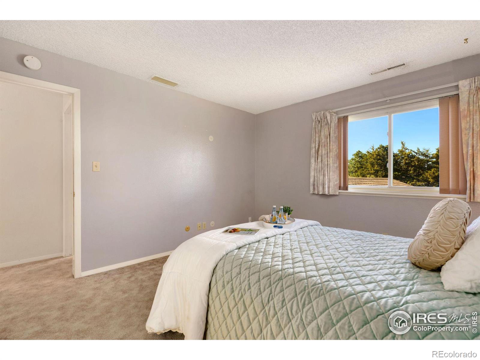 MLS Image #15 for 306  sundance circle,fort collins, Colorado