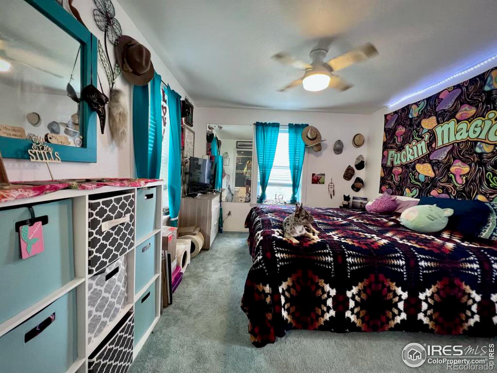 MLS Image #8 for 144  badger court,drake, Colorado