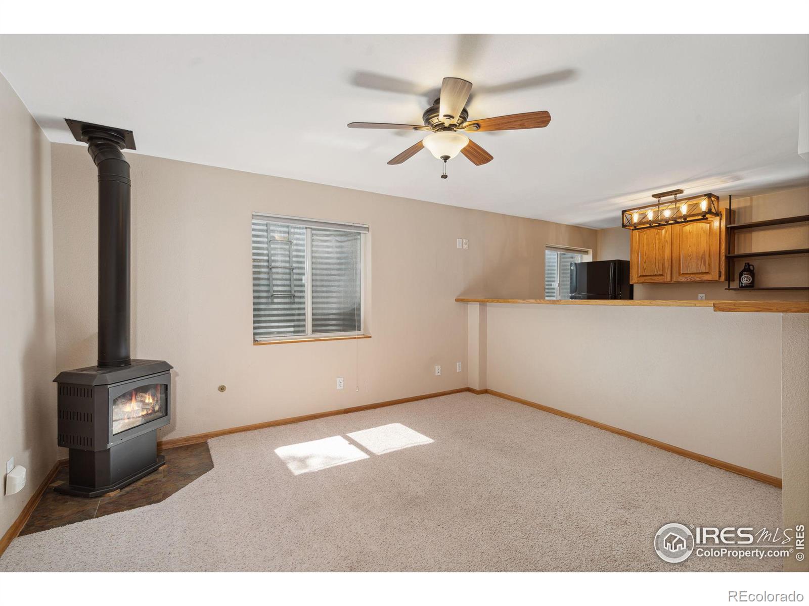 MLS Image #25 for 101  autumn court,erie, Colorado