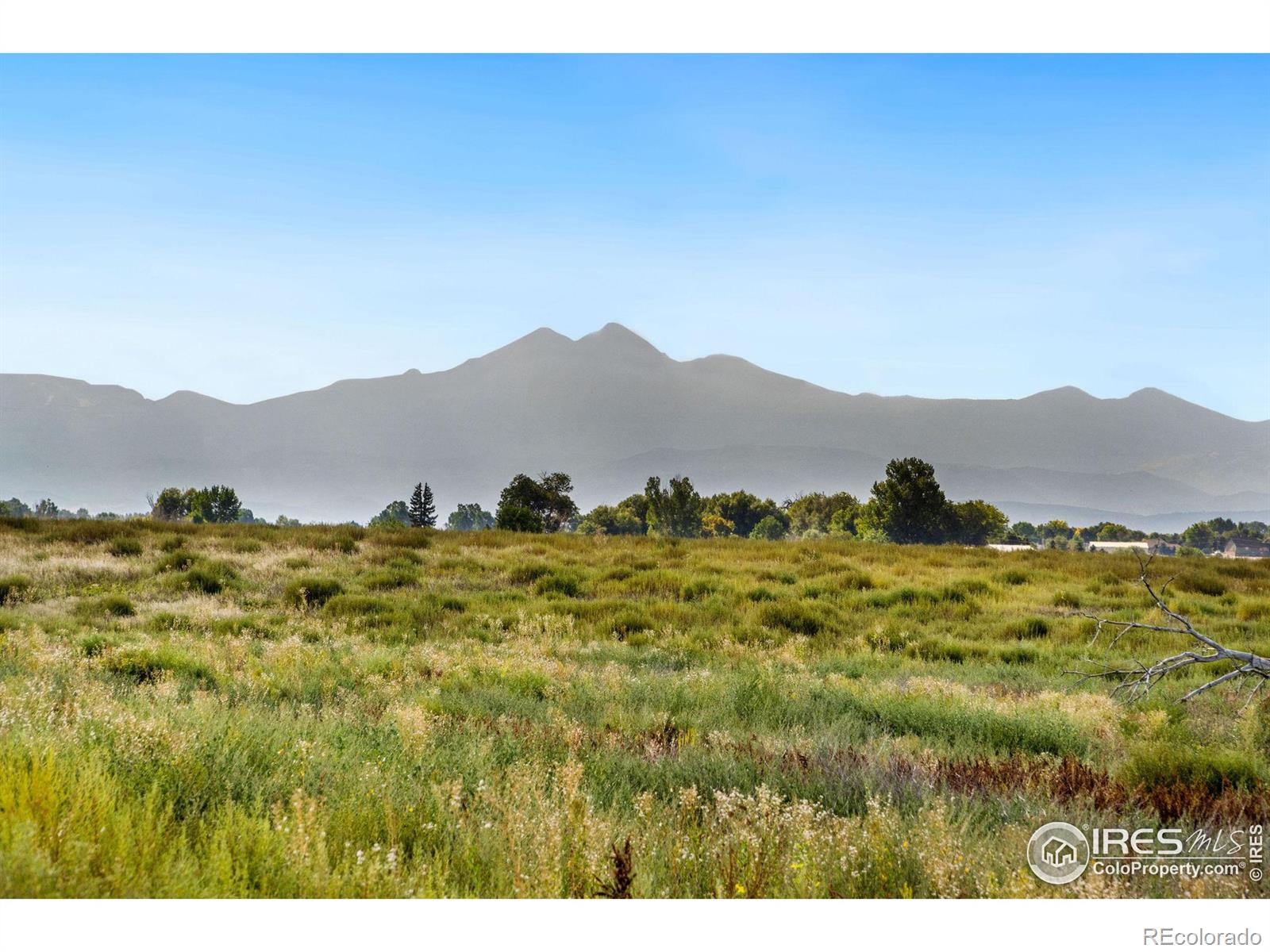 MLS Image #3 for 5425  county road 32 ,mead, Colorado