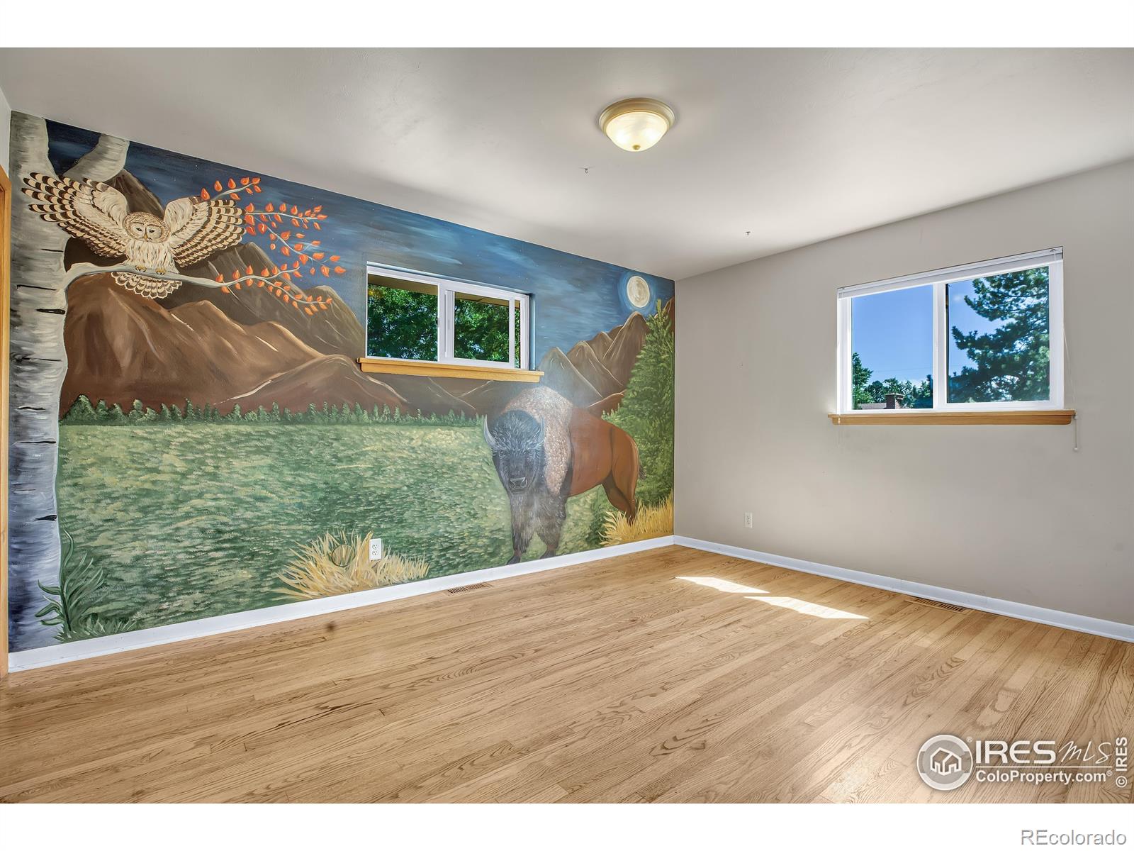 MLS Image #18 for 3995  darley avenue,boulder, Colorado