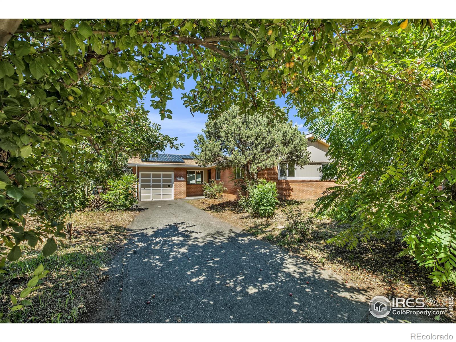 MLS Image #3 for 3995  darley avenue,boulder, Colorado