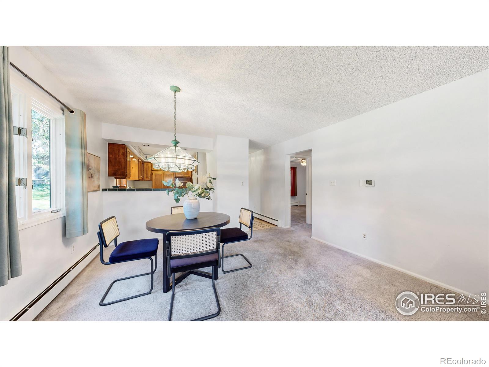 MLS Image #10 for 1553  adriel court,fort collins, Colorado