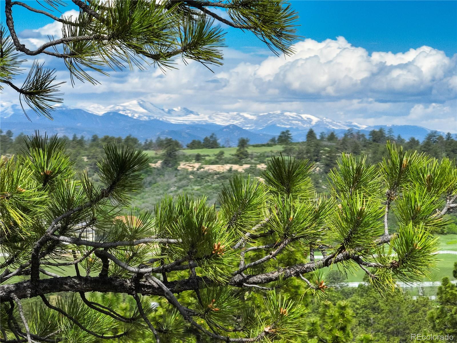 MLS Image #10 for 1085  golf estates point,castle rock, Colorado