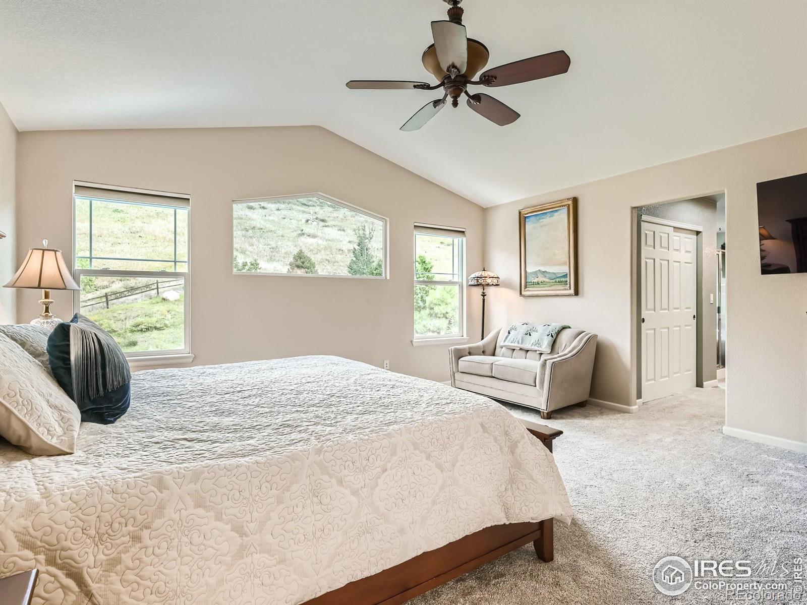 MLS Image #18 for 154  stone canyon drive,lyons, Colorado