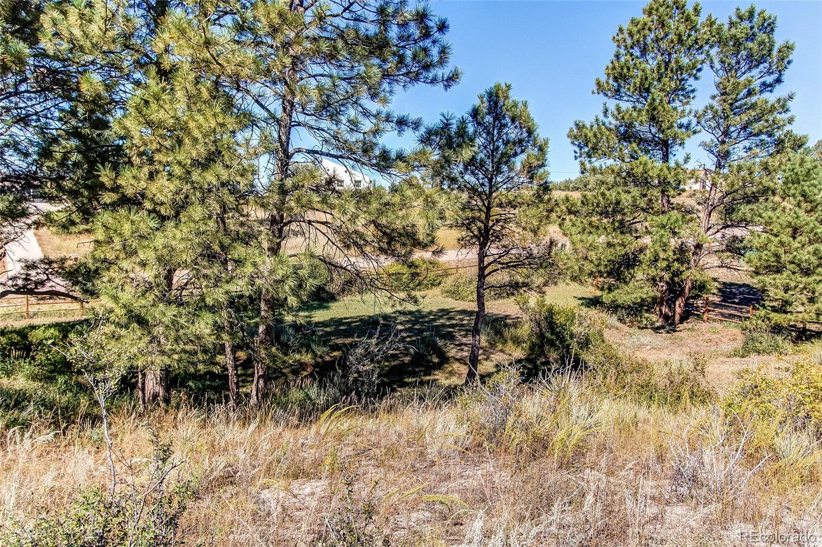 MLS Image #46 for 11244 n thrush drive,parker, Colorado