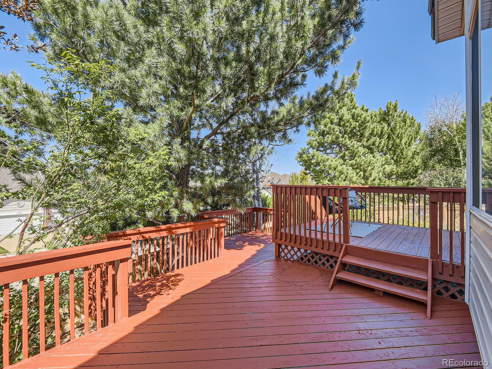 MLS Image #9 for 3157  masters point,castle rock, Colorado