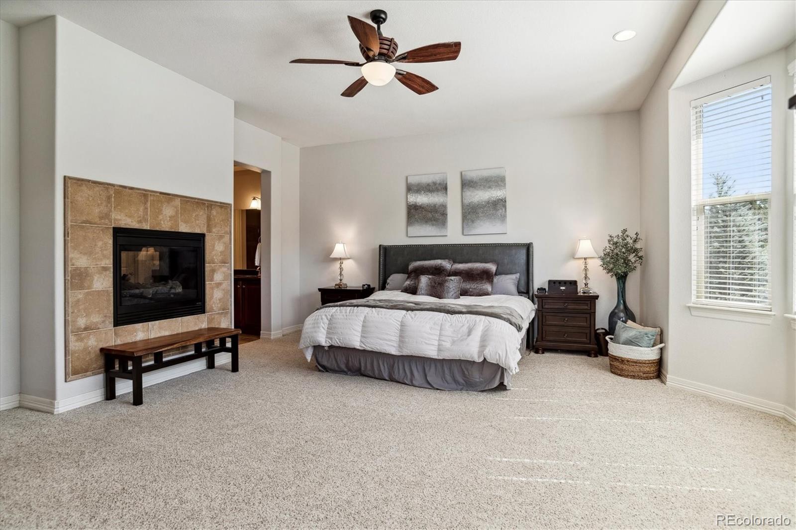 MLS Image #16 for 5212  colina place,parker, Colorado