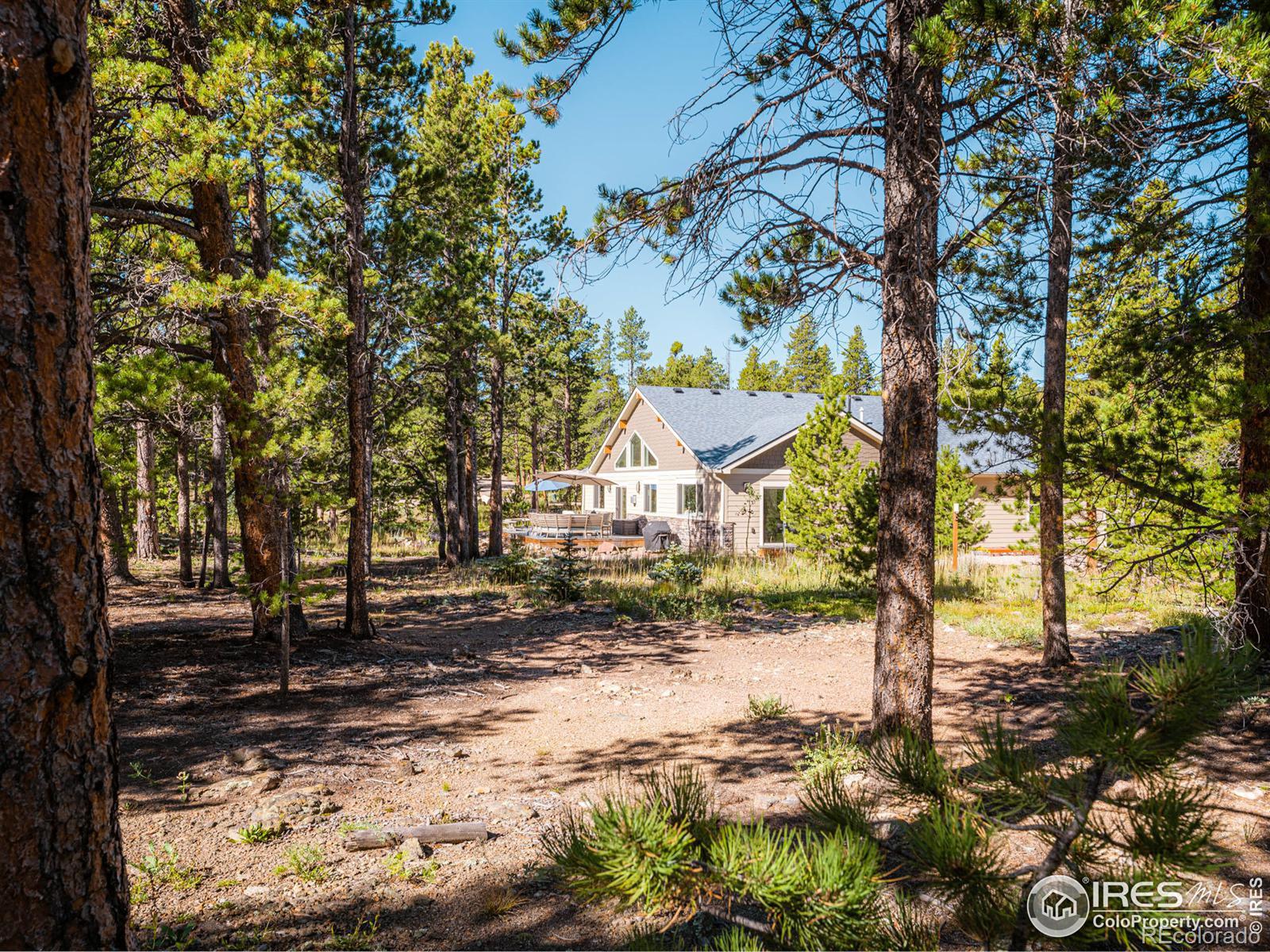 MLS Image #33 for 20  shoshoni way,nederland, Colorado