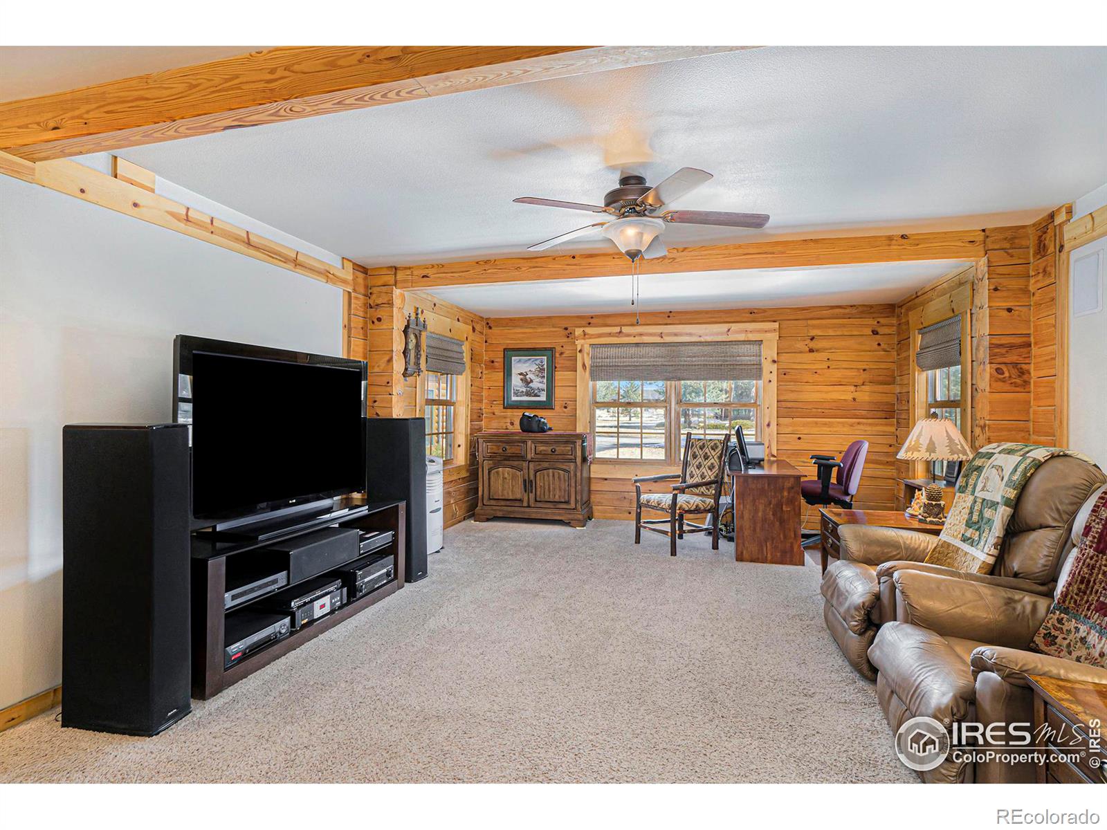 MLS Image #10 for 1370  deer path court,estes park, Colorado