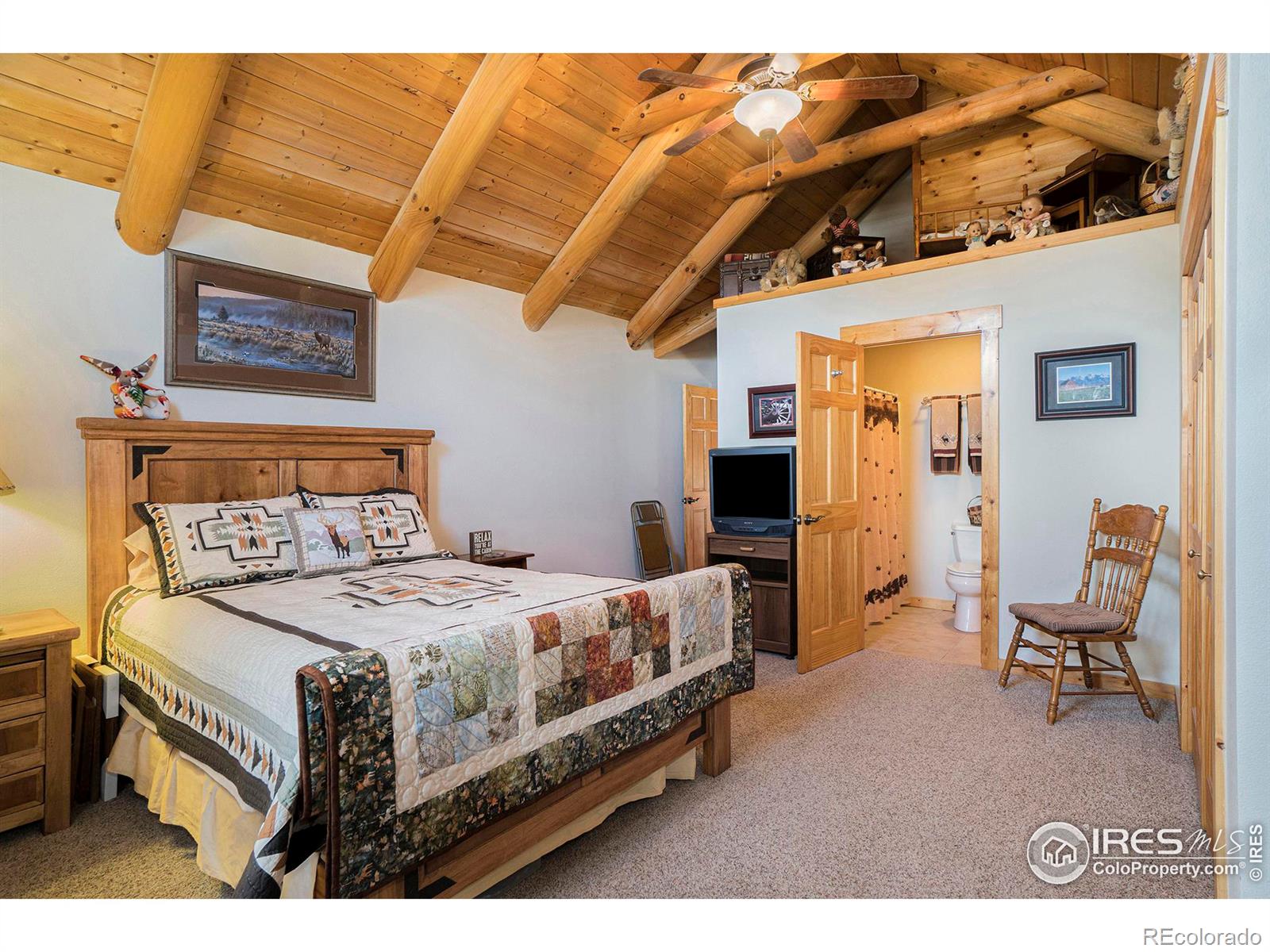 MLS Image #17 for 1370  deer path court,estes park, Colorado