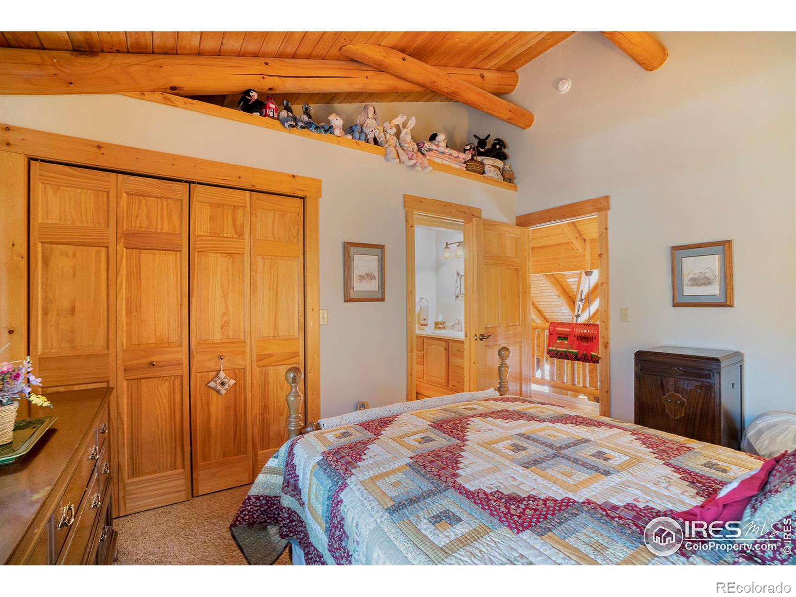 MLS Image #20 for 1370  deer path court,estes park, Colorado