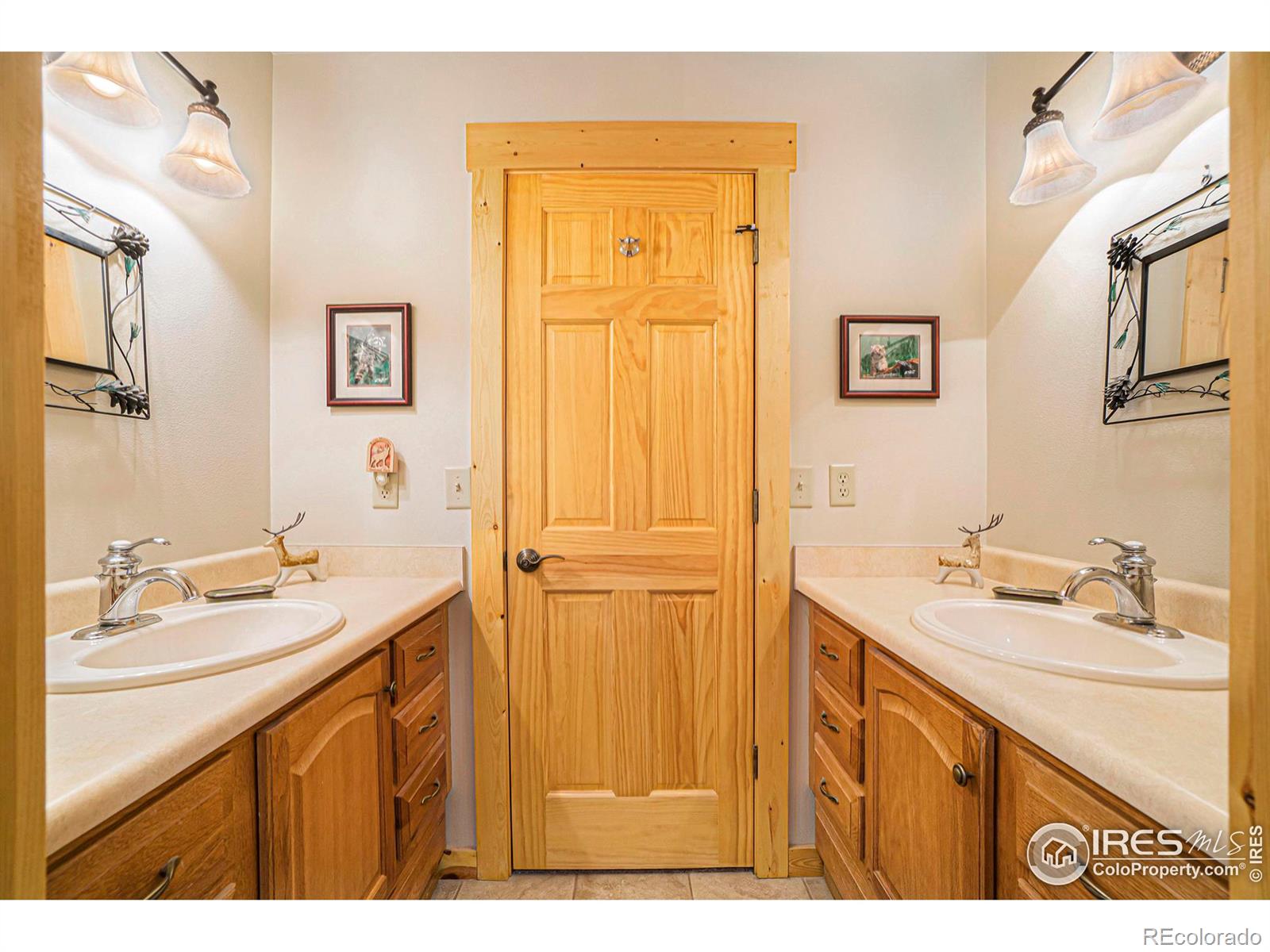 MLS Image #21 for 1370  deer path court,estes park, Colorado