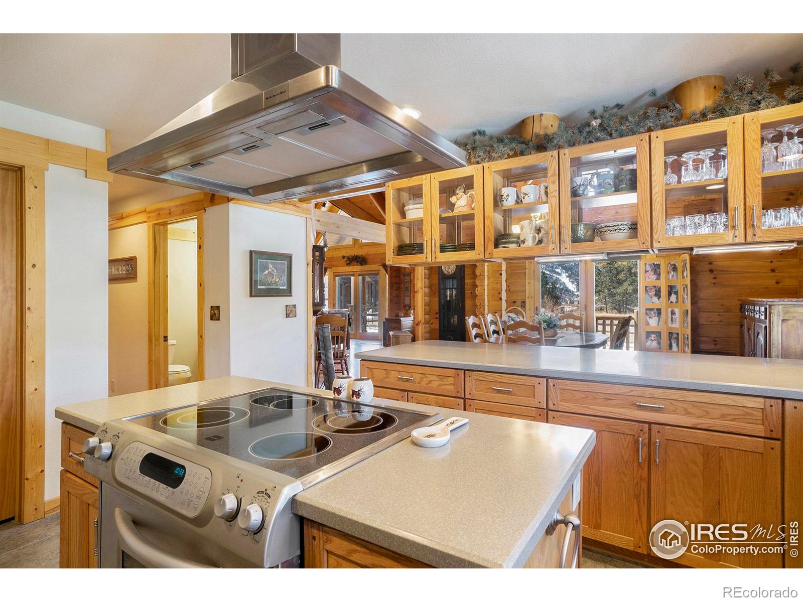 MLS Image #8 for 1370  deer path court,estes park, Colorado