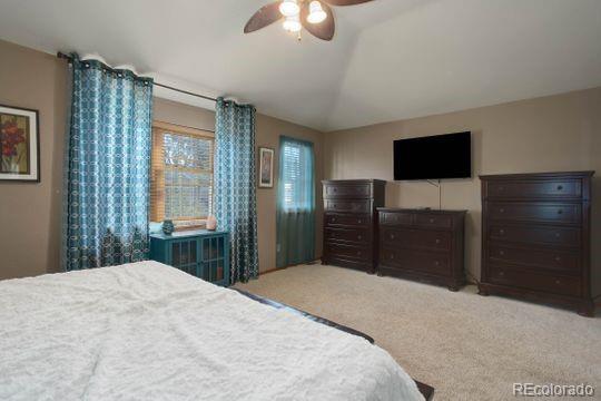 MLS Image #21 for 9861  spring hill place,highlands ranch, Colorado