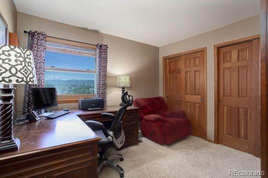 MLS Image #22 for 9861  spring hill place,highlands ranch, Colorado