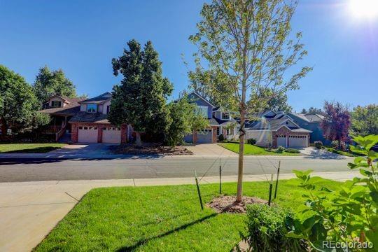 MLS Image #9 for 9861  spring hill place,highlands ranch, Colorado