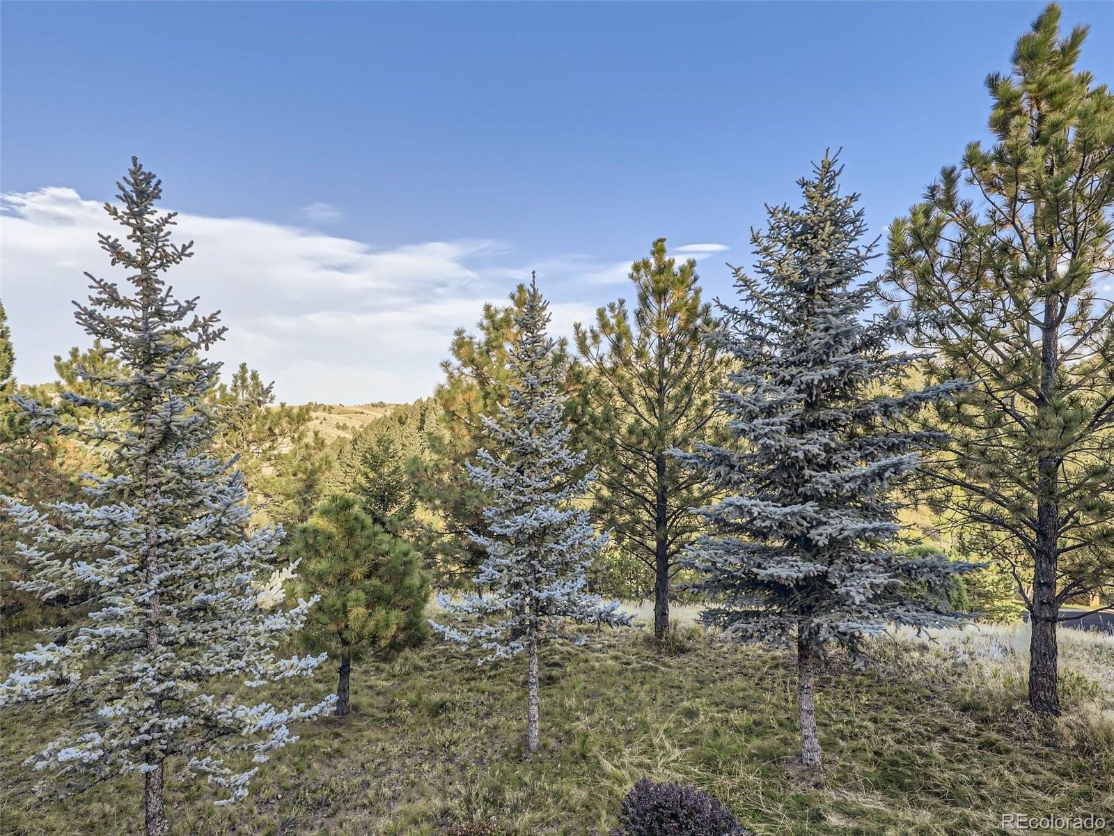 MLS Image #26 for 720  summerwood drive,golden, Colorado