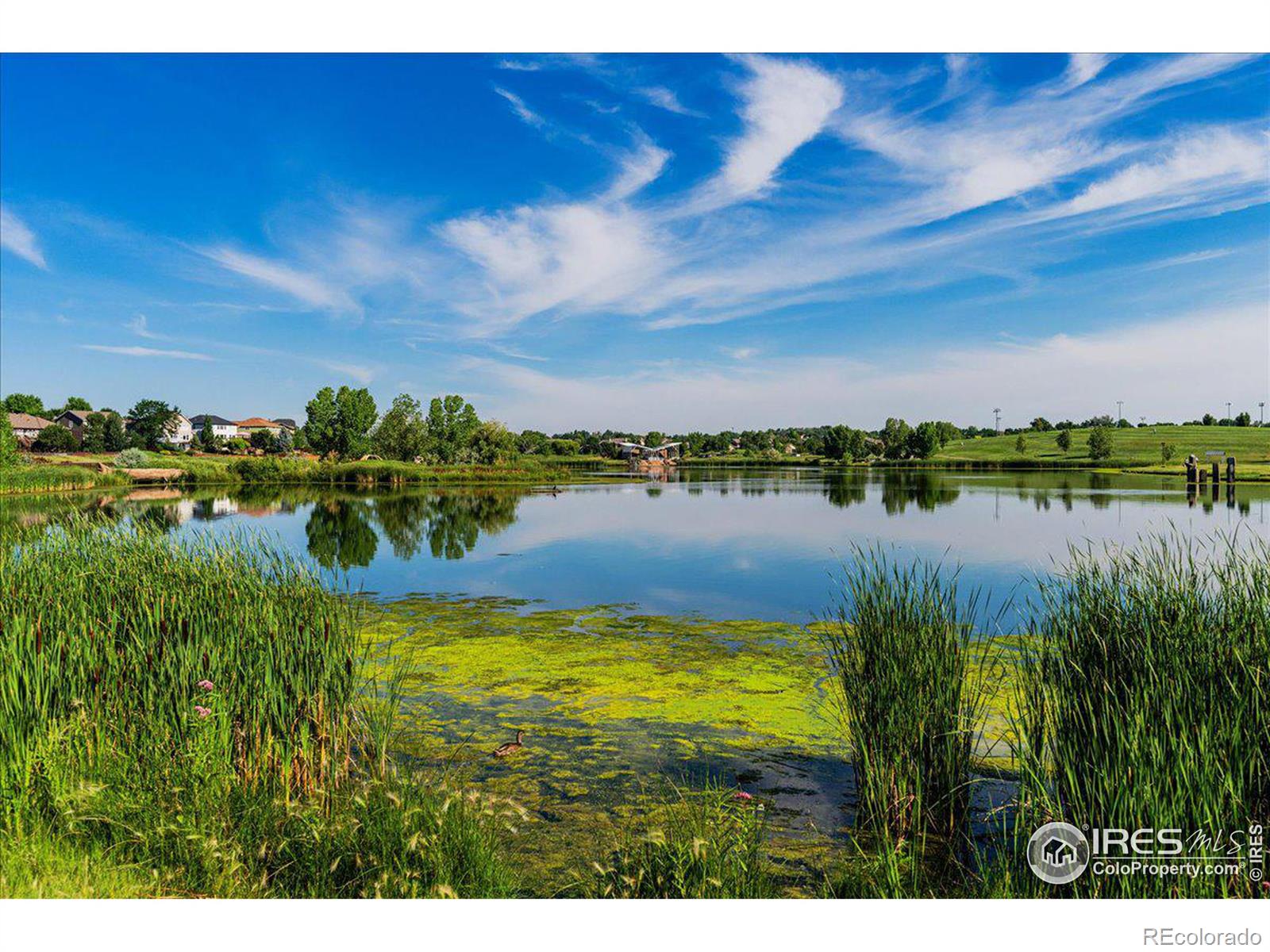 MLS Image #28 for 5620  fossil creek parkway,fort collins, Colorado