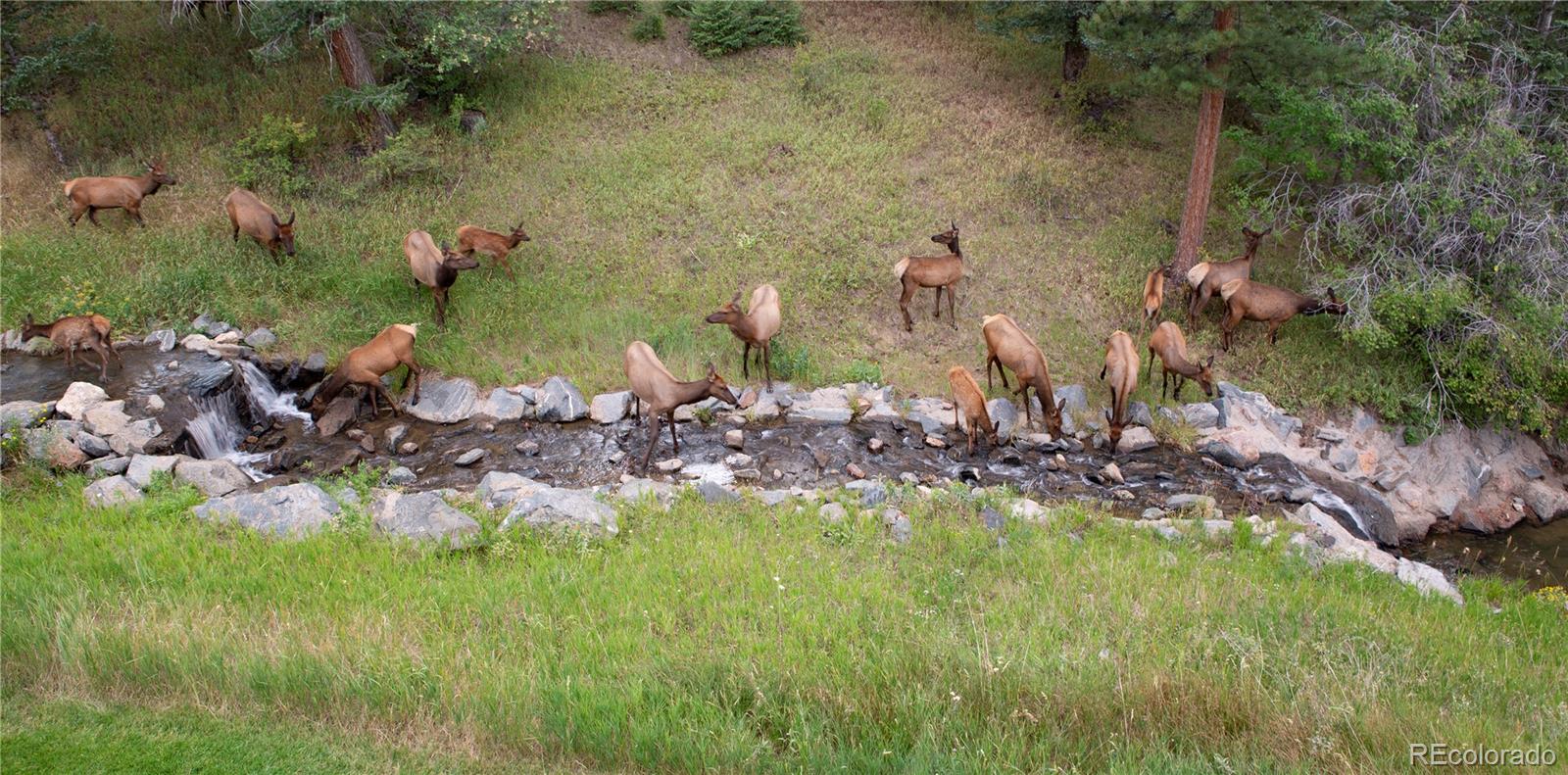 MLS Image #33 for 665  trailside drive,golden, Colorado