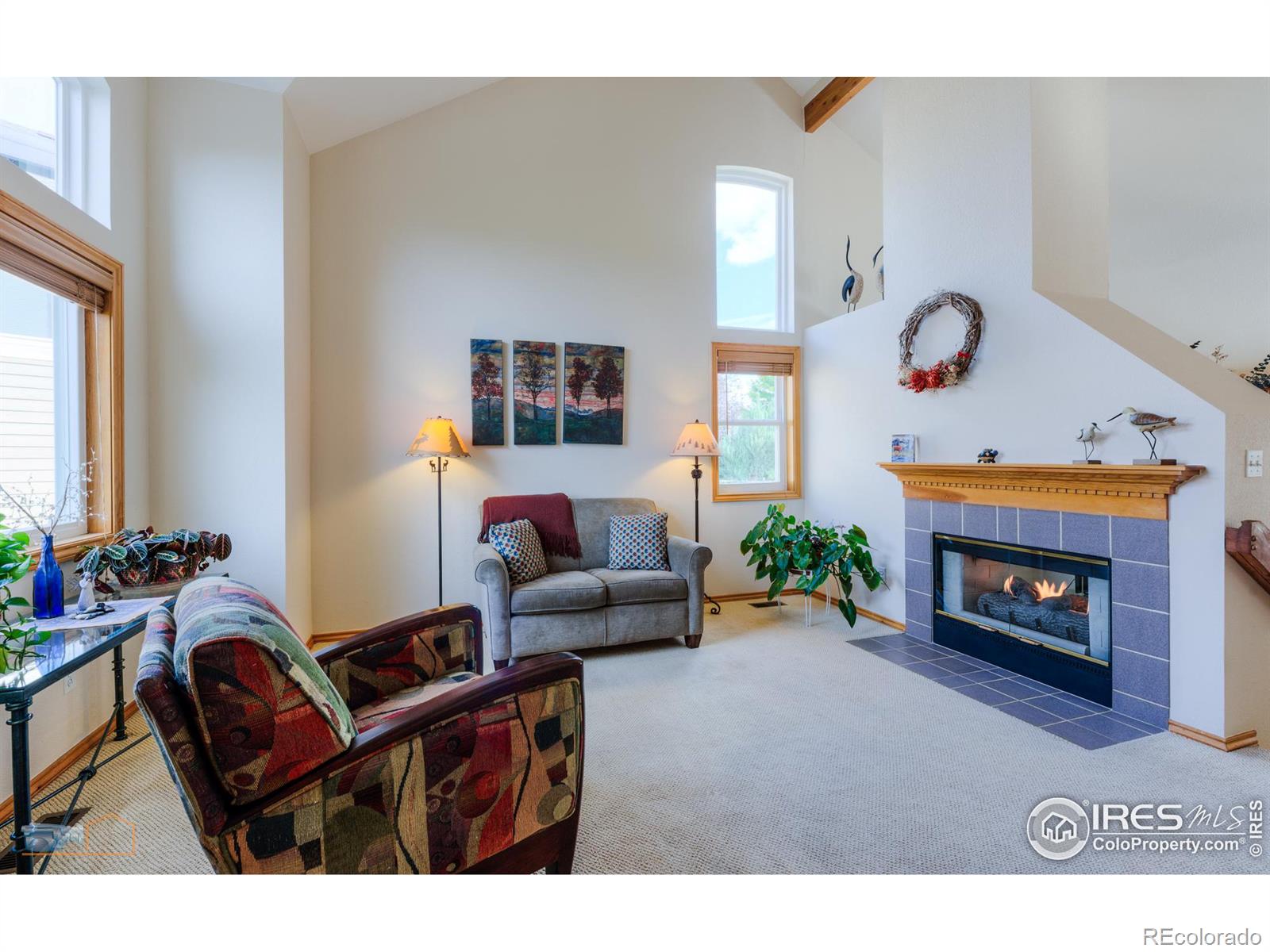 MLS Image #3 for 5564 n fork court,boulder, Colorado