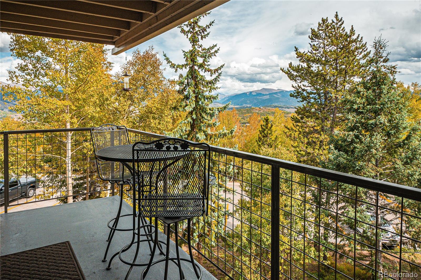 MLS Image #21 for 7222  ryan gulch road,silverthorne, Colorado